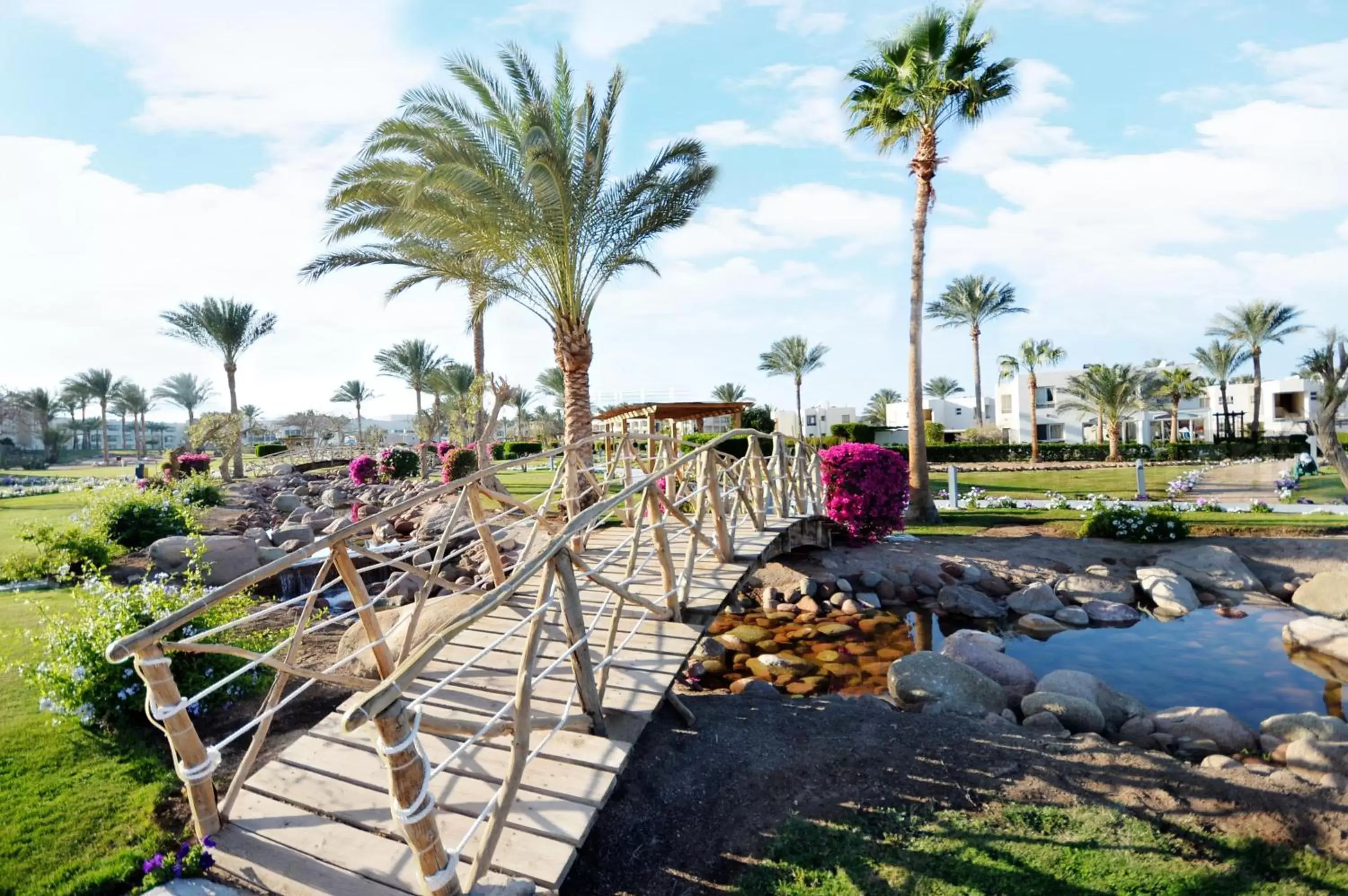 Garden in Aurora Oriental Resort Sharm El Sheikh