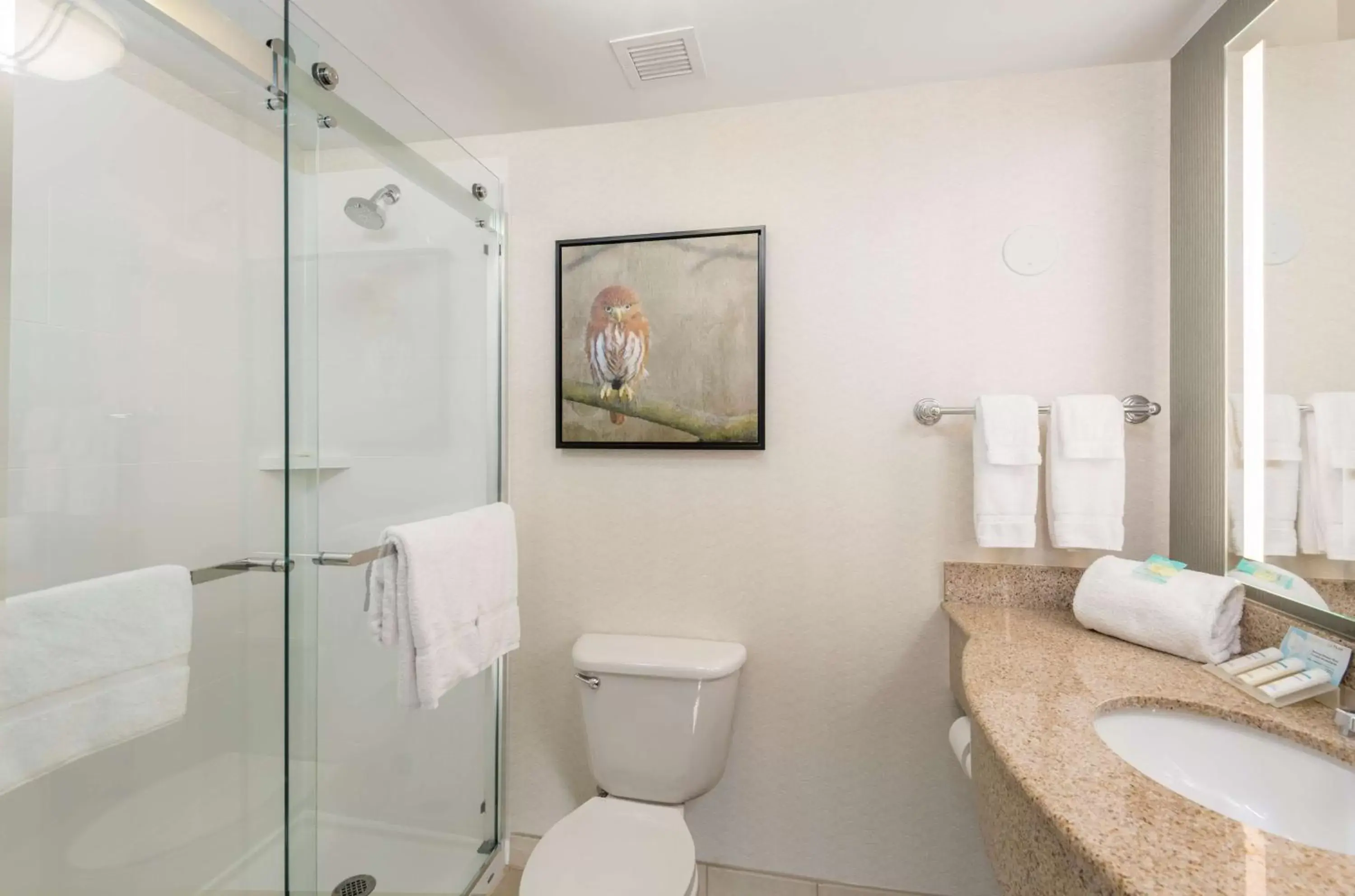 Bathroom in Hilton Garden Inn Scottsdale North/Perimeter Center
