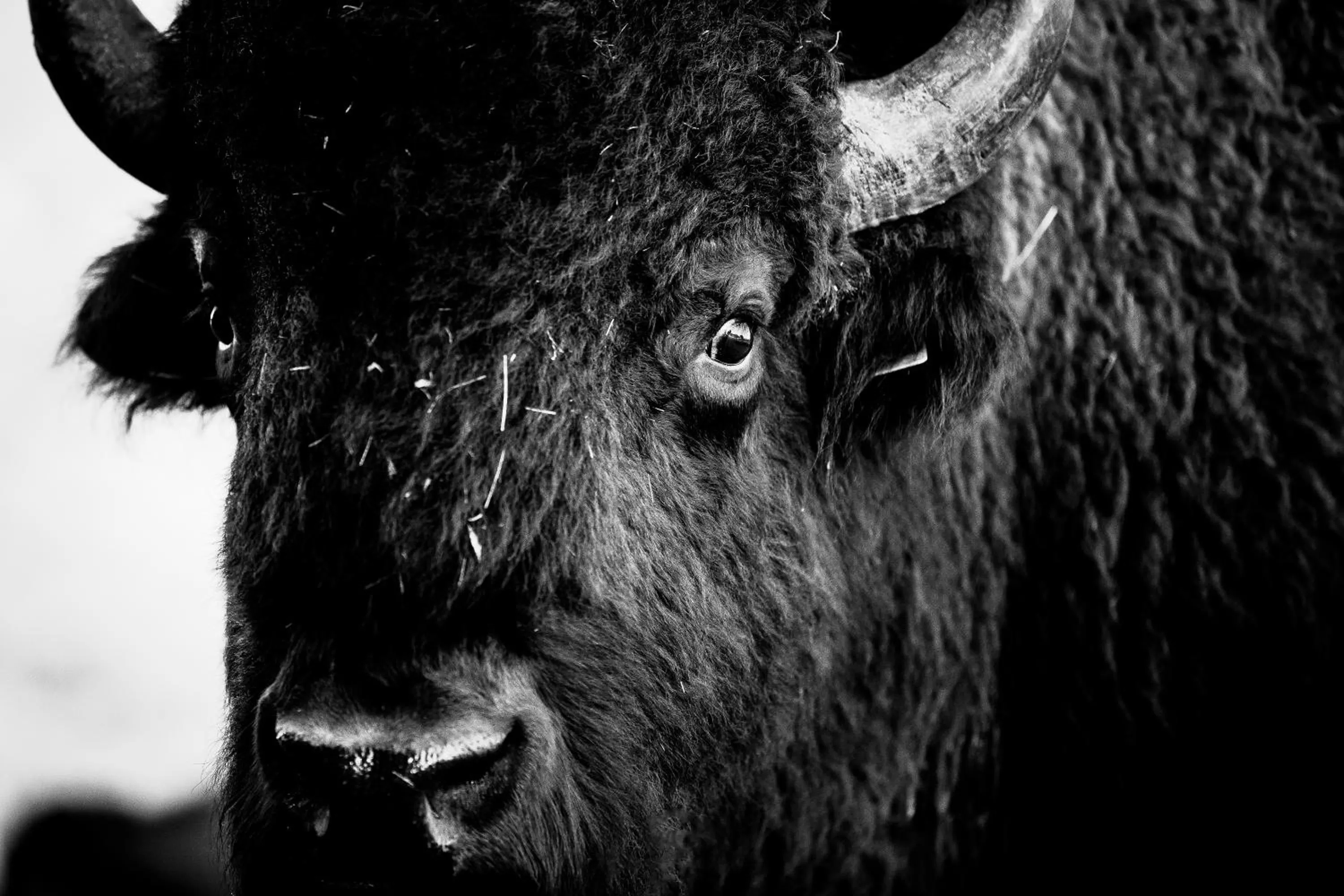 Natural landscape in Landhotel Lammershof