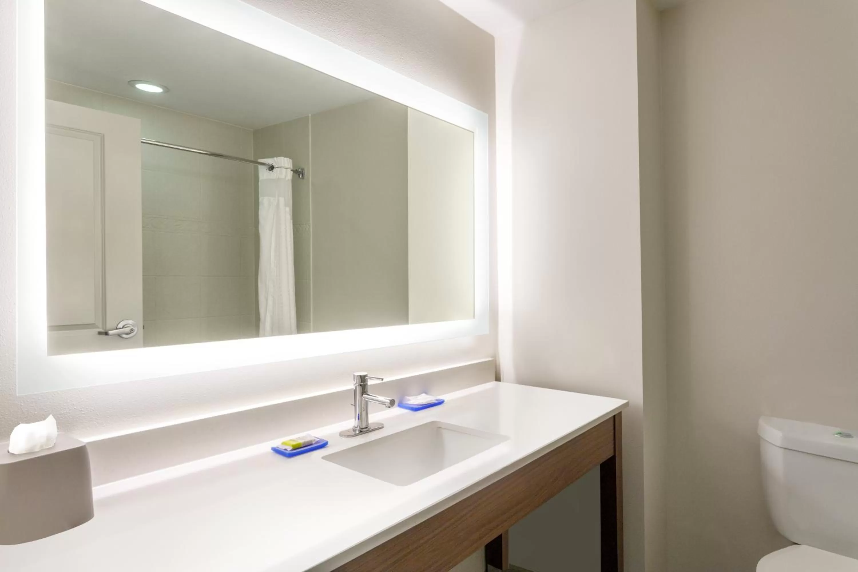 Bathroom in Holiday Inn Express & Suites Searcy by IHG