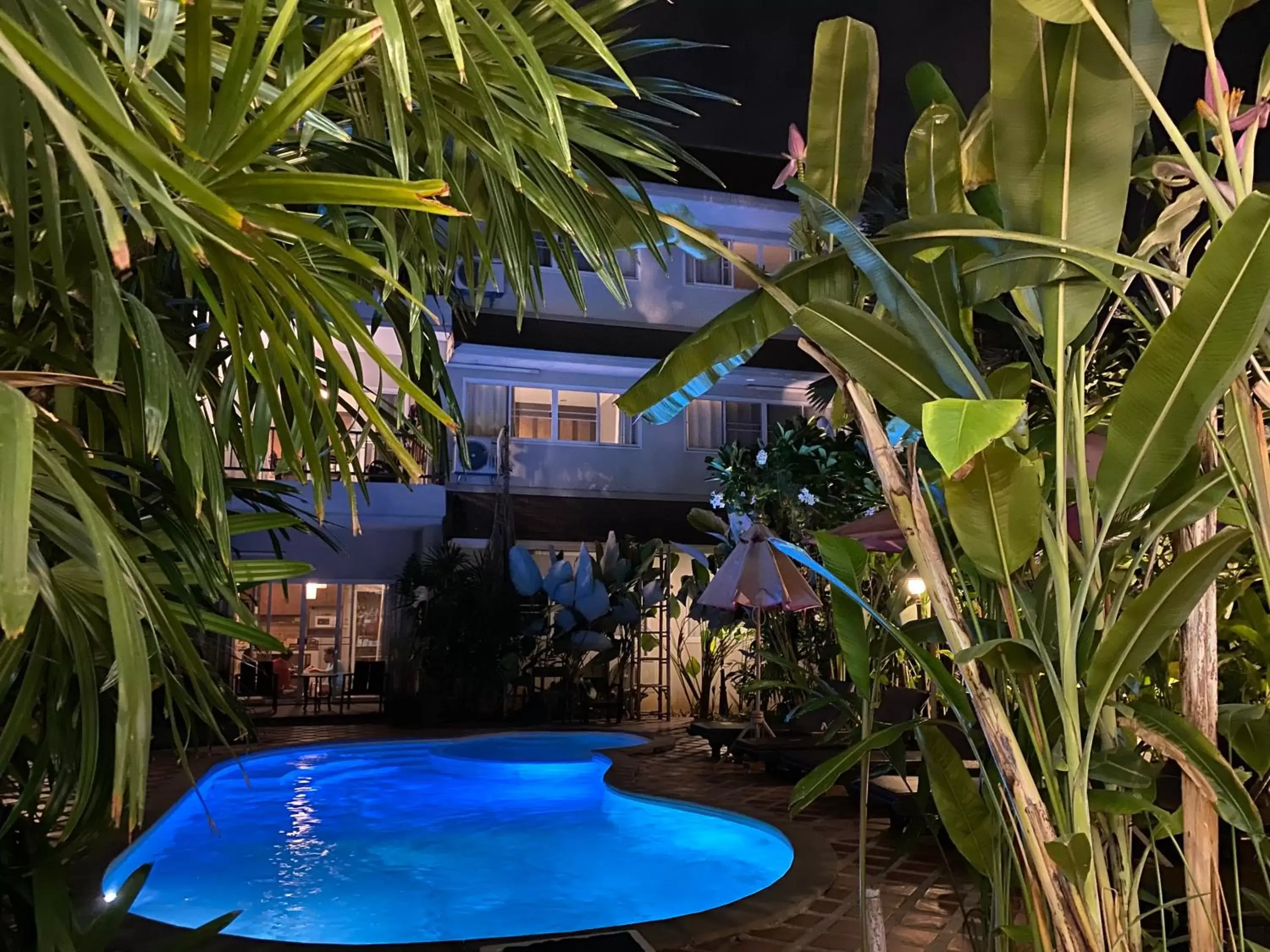 Pool view, Swimming Pool in The Opium Chiang Mai