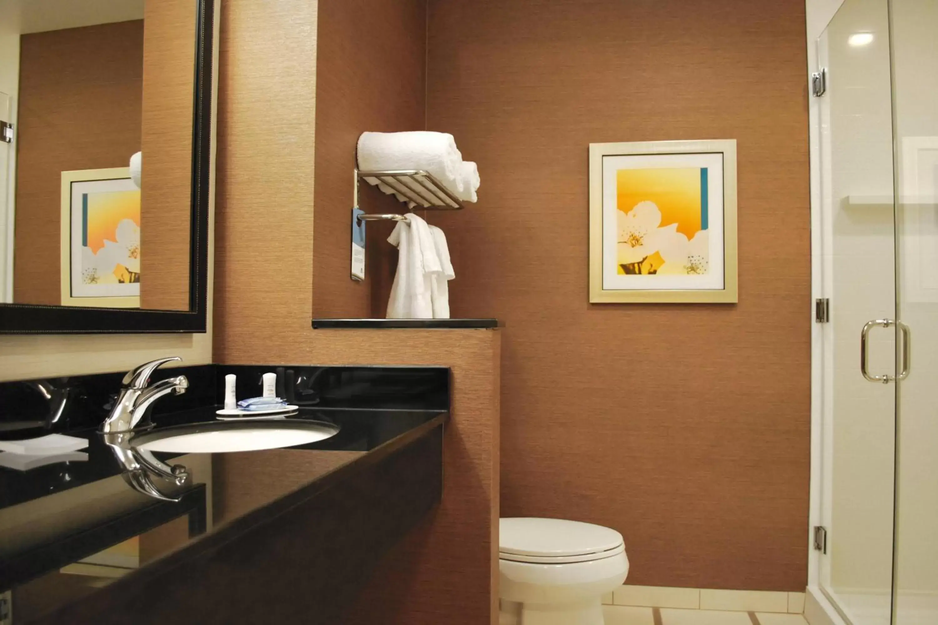 Bathroom in Fairfield Inn & Suites by Marriott Springfield Northampton/Amherst