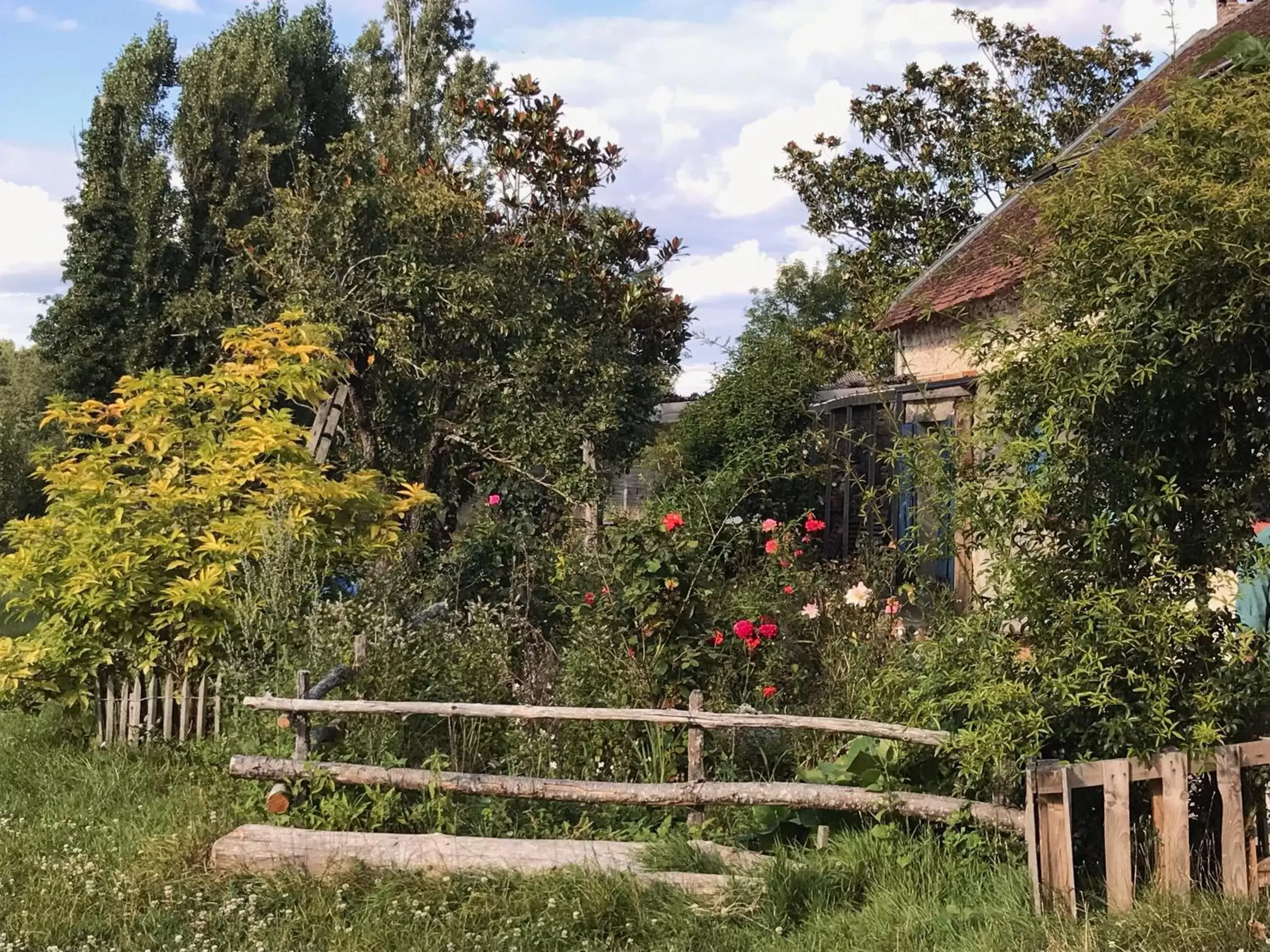 Garden in Chez Gustave & Compagnie