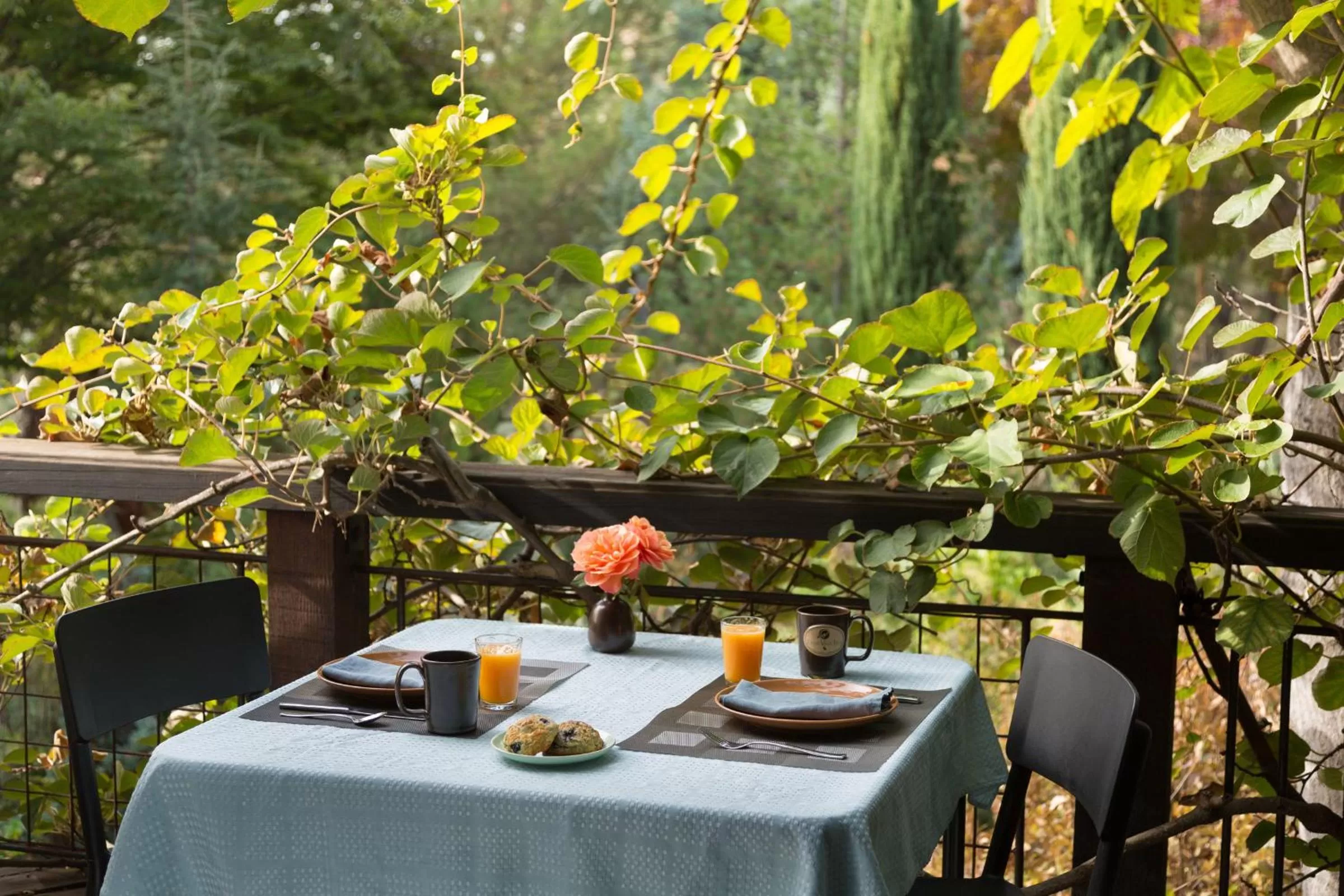 Balcony/Terrace in Eden Vale Inn