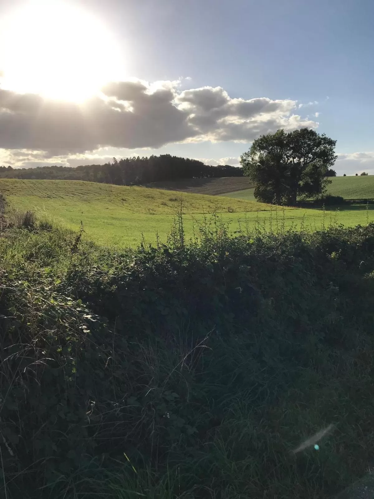 Natural landscape in B&B Holset70