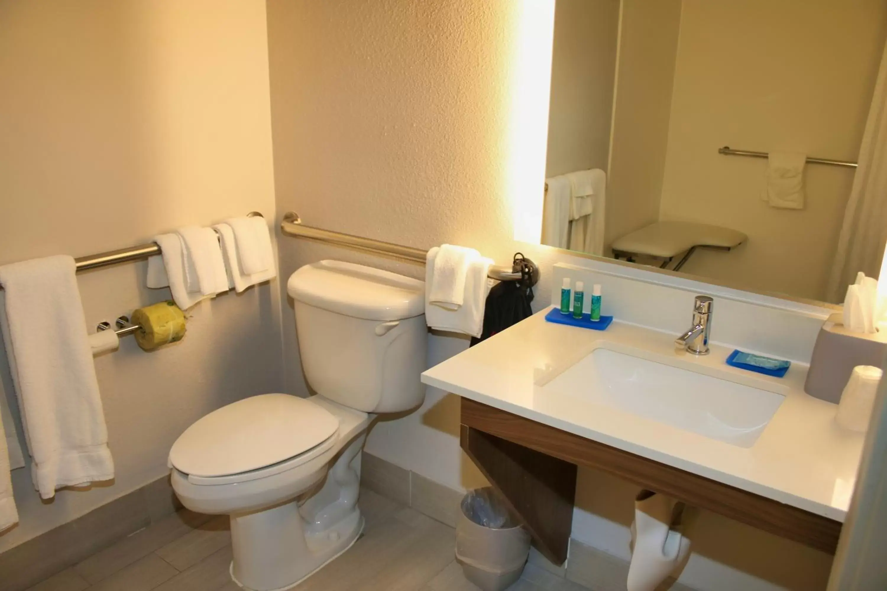 Bathroom in Holiday Inn Express, an IHG Hotel