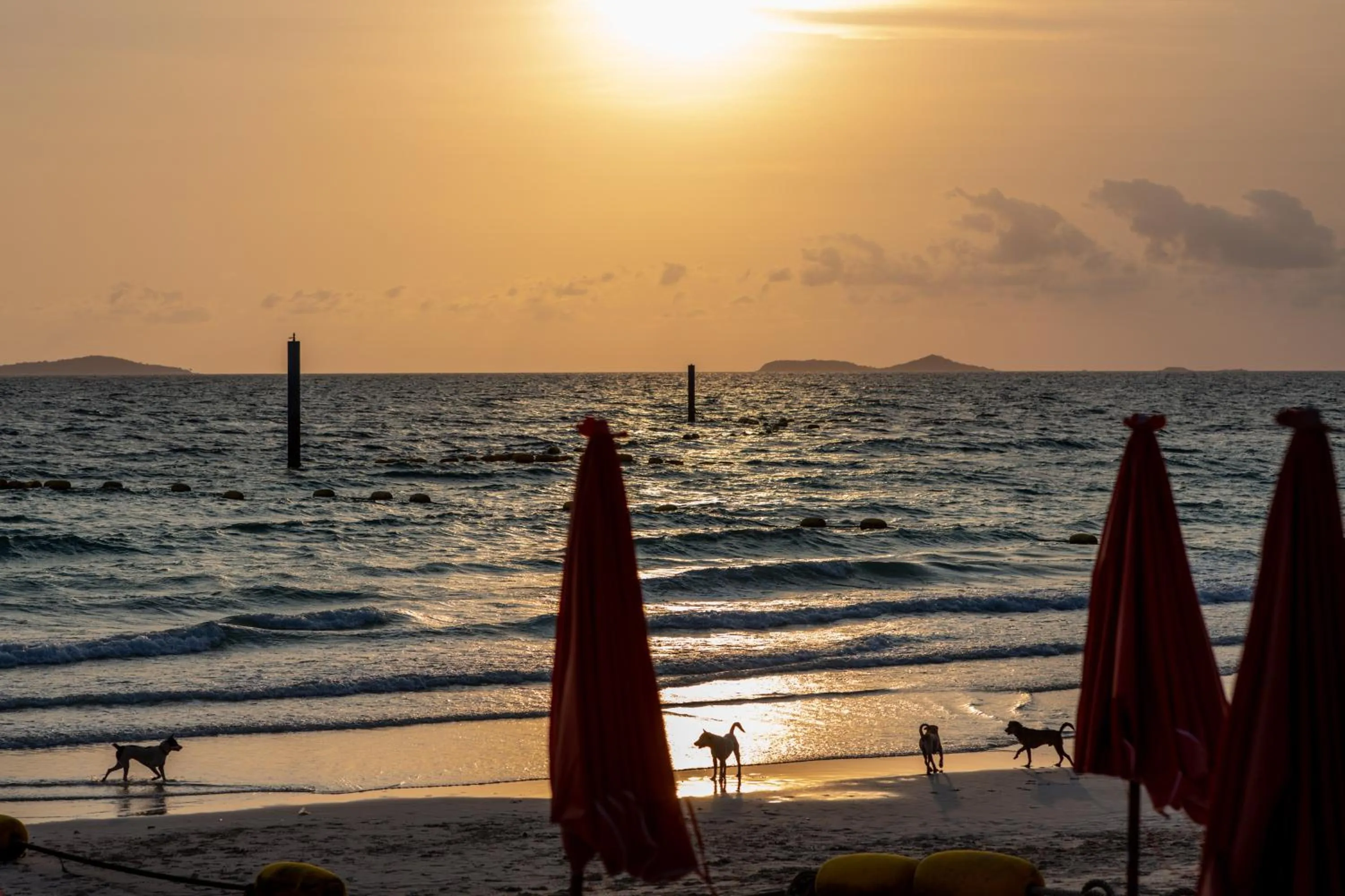 Natural landscape in Xanadu Beach Resort