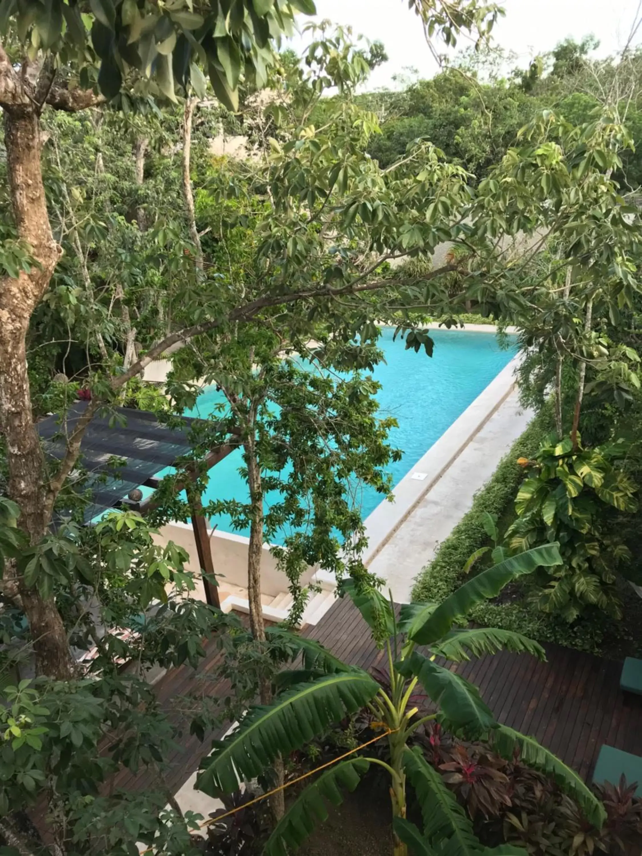 Swimming pool, Pool View in Hotel Panacea Tulum