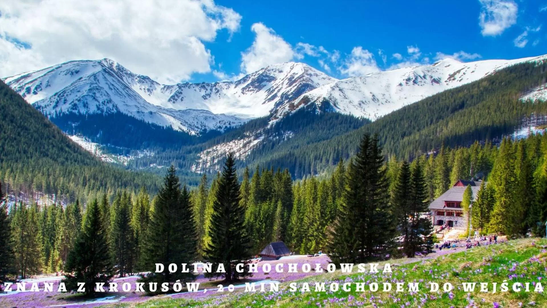 Mountain View in Serce Tatr Residence Zakopane - blisko Krupówek