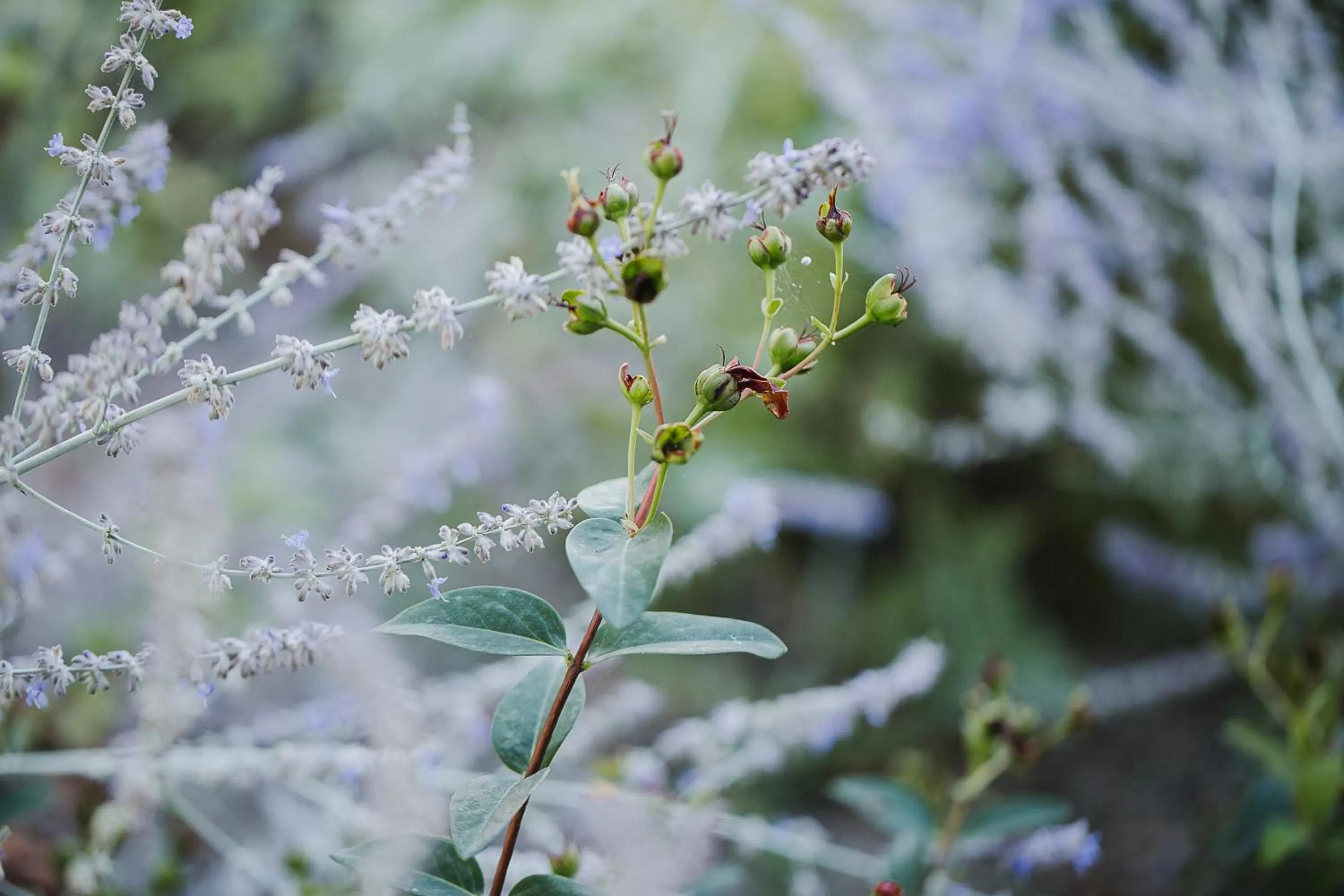 Natural landscape in B&B Timeout
