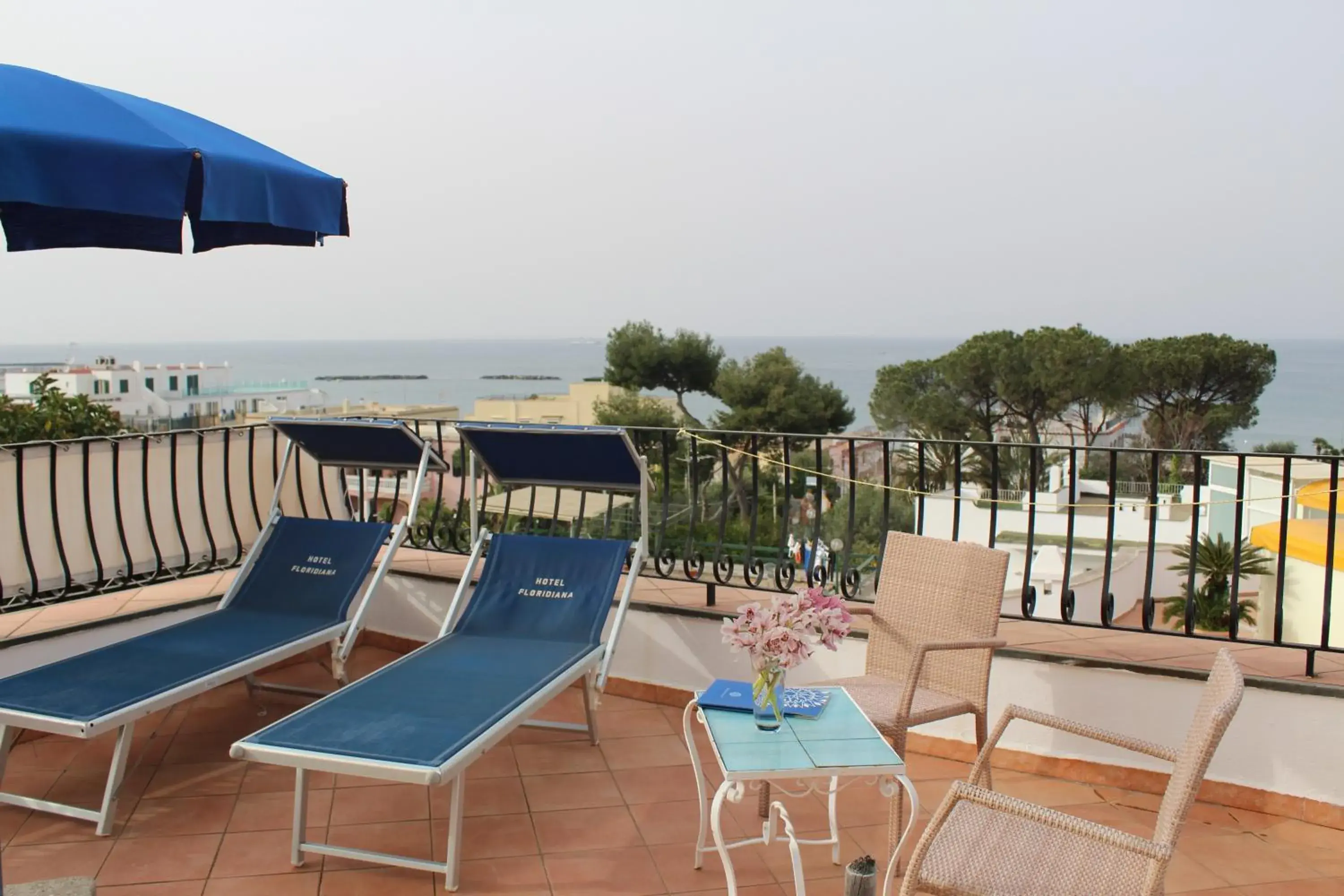 Balcony/Terrace in Hotel Floridiana Terme