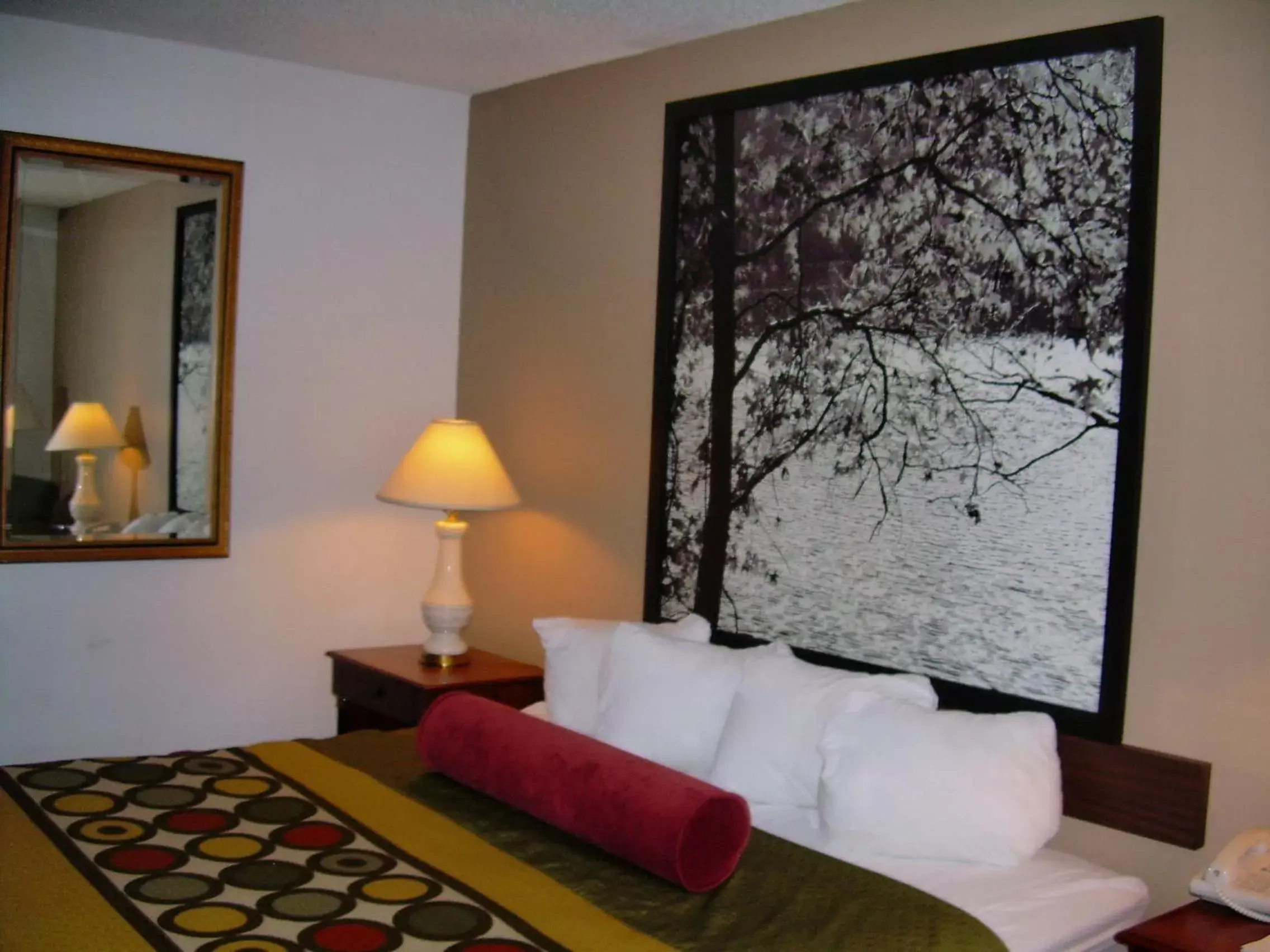 Bed in Super 8 by Wyndham Milwaukee Airport