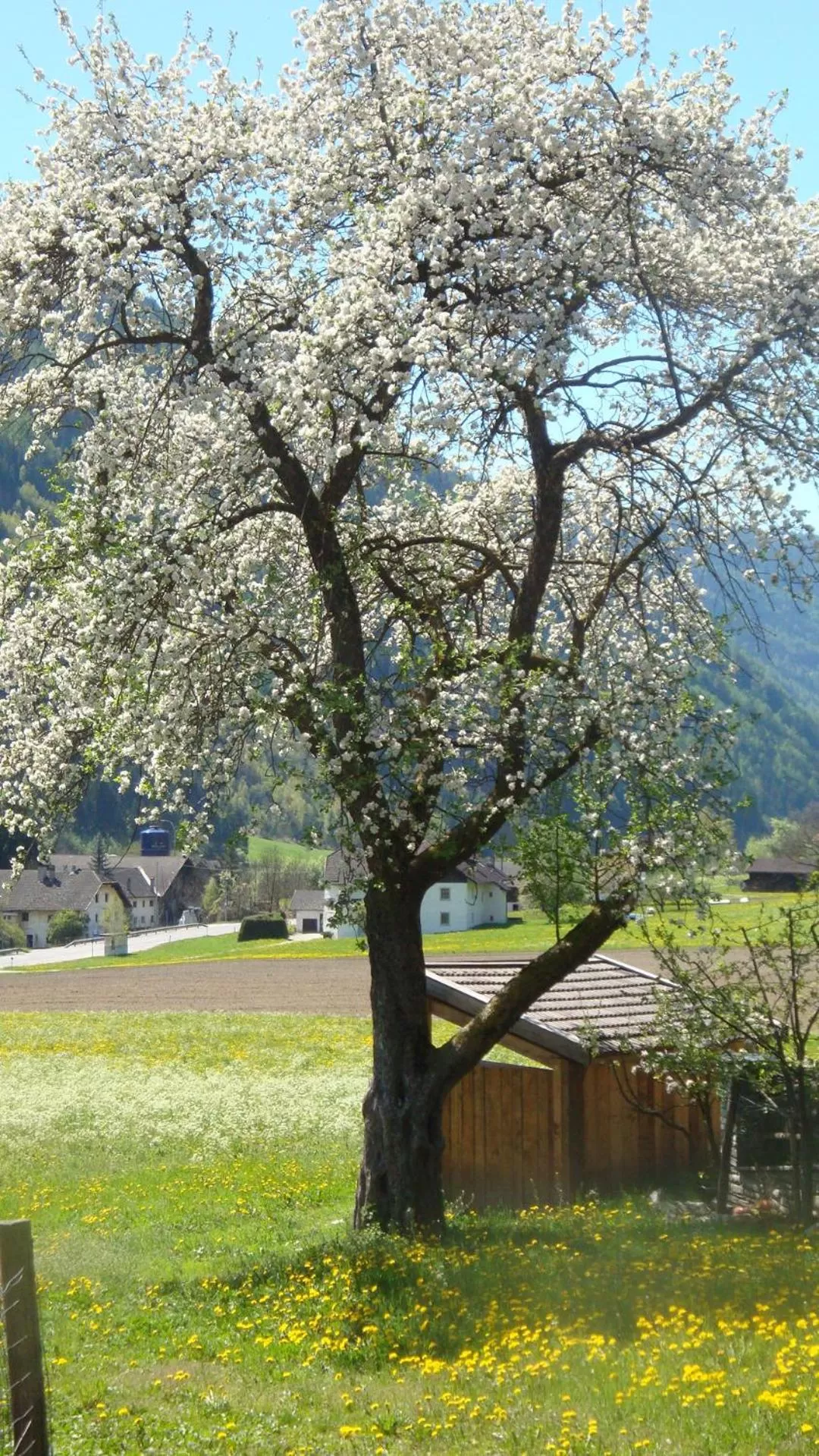 Garden in Residence Obermoarhof