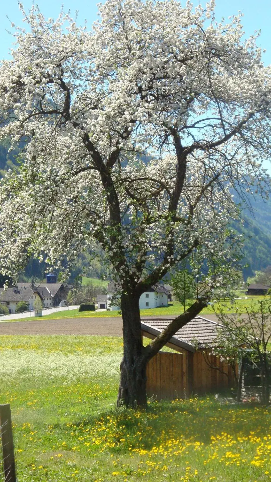 Garden in Residence Obermoarhof