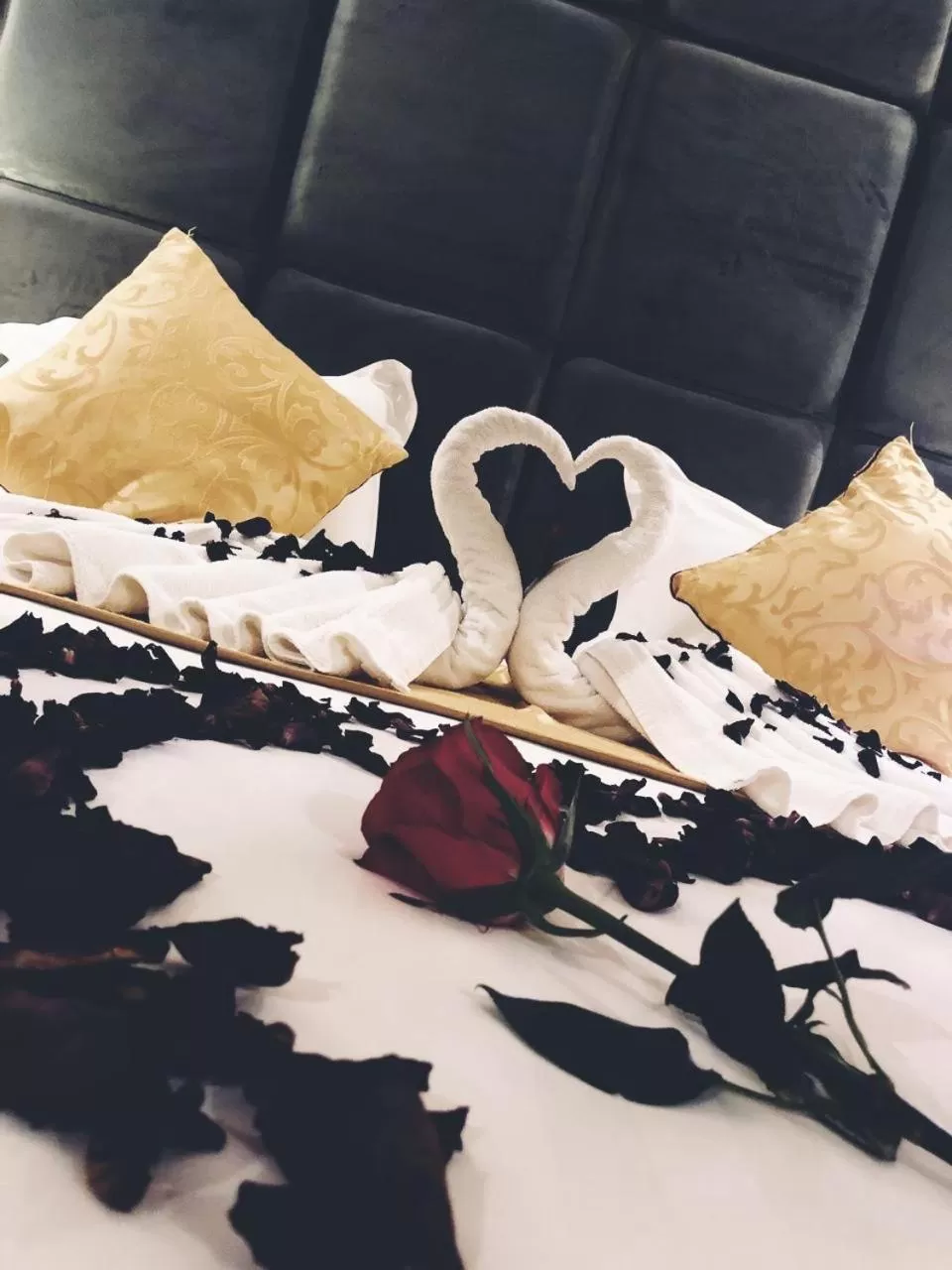 Photo of the whole room in Qasr Rayana Aparthotel