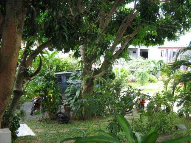 Garden in Lamoon Lamai Residence & Guesthouse