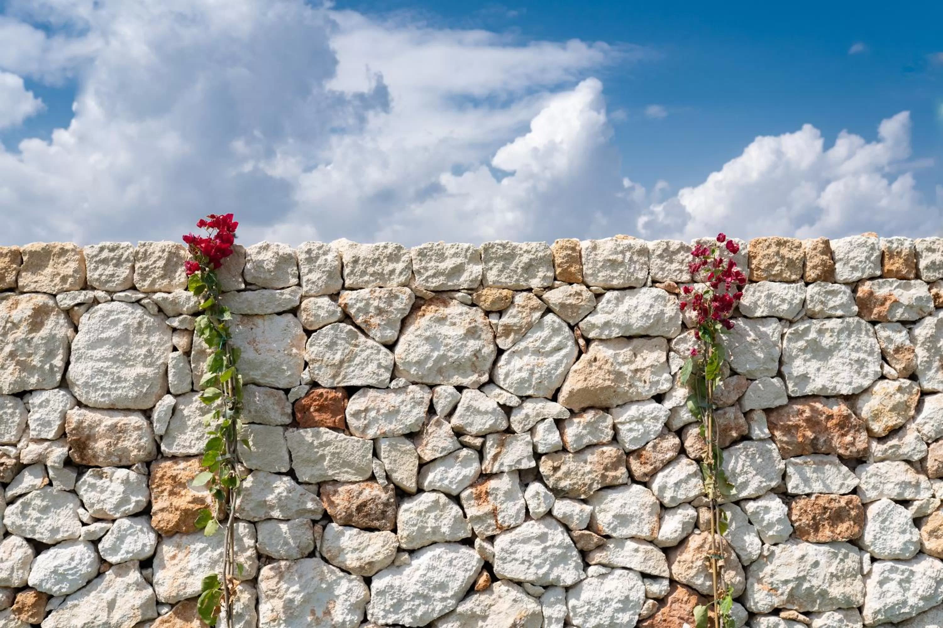 Garden in Grotta Palazzese Beach Hotel