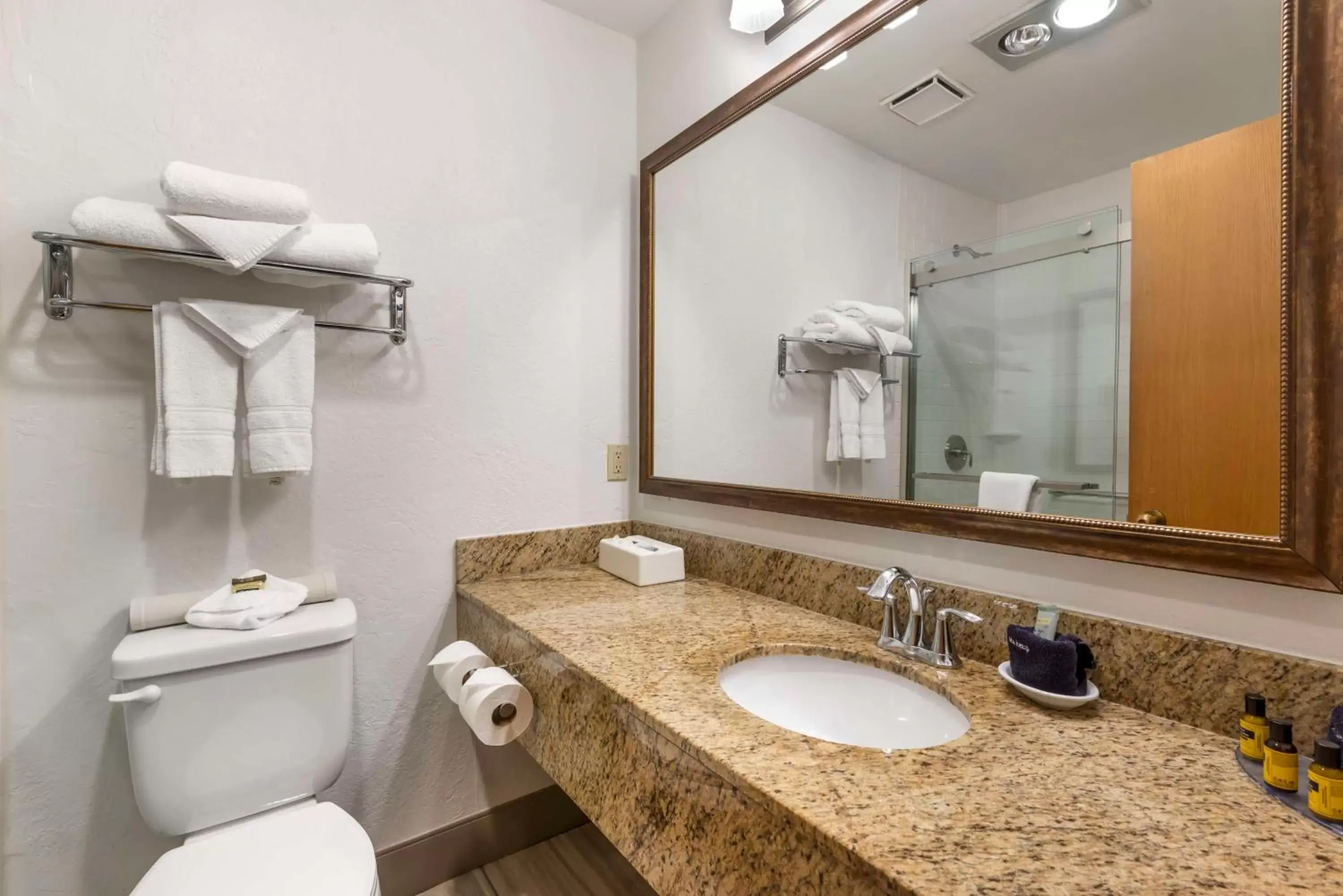 Bathroom in Best Western Plus Rio Grande Inn