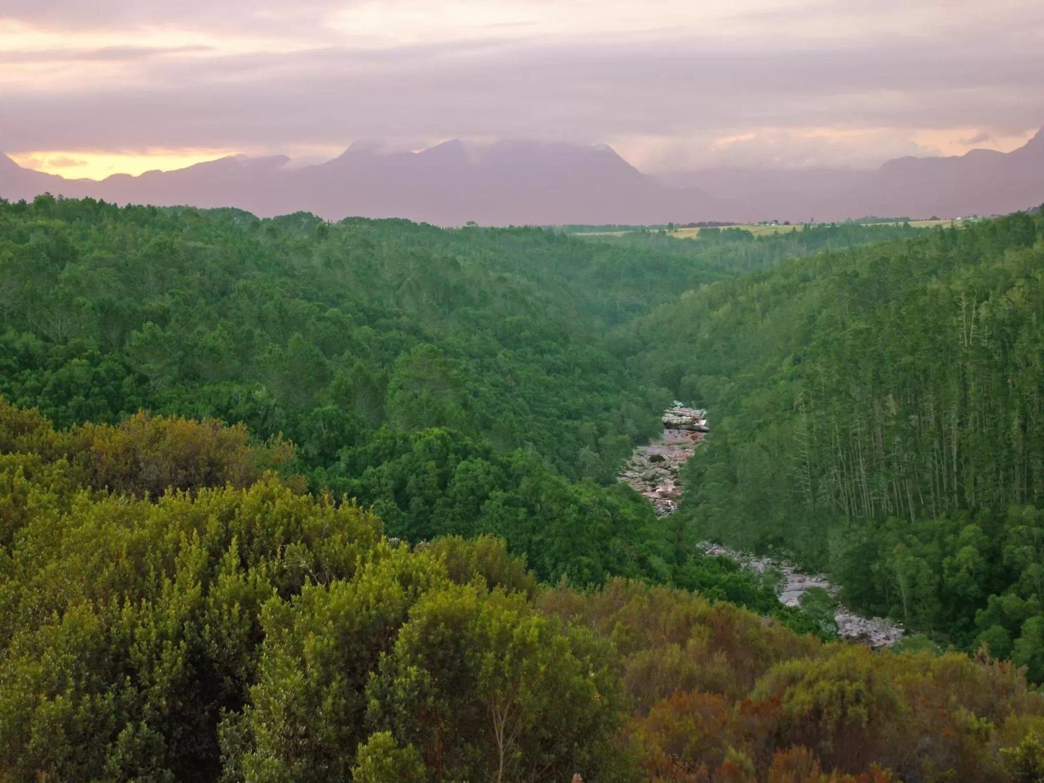 Garden view in Oubaai Hotel Golf & Spa