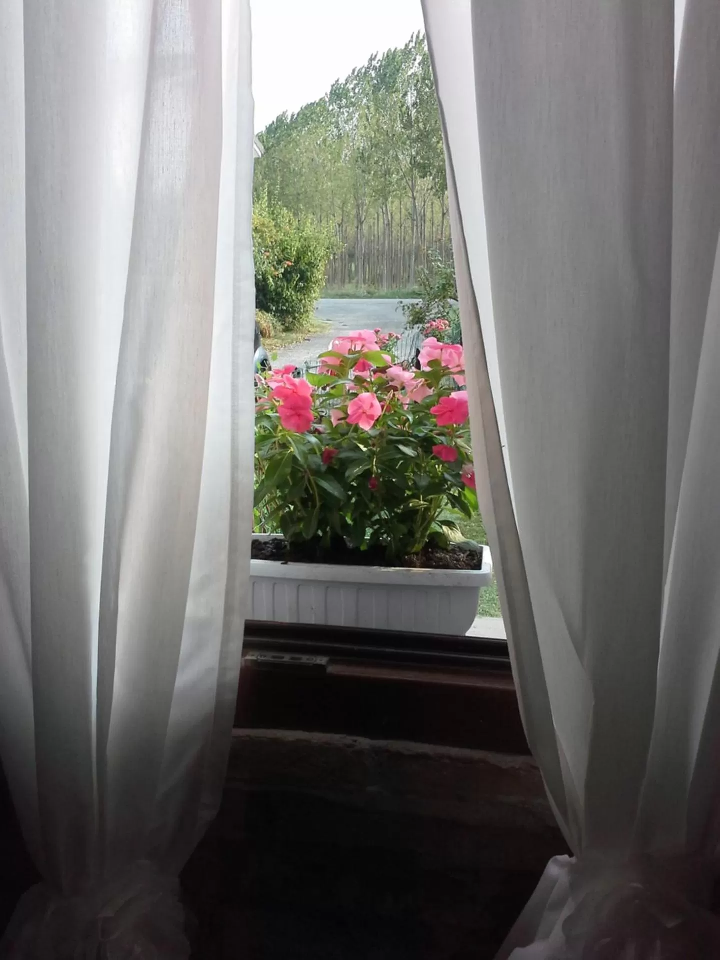 Decorative detail in B&B Happiness in the Country