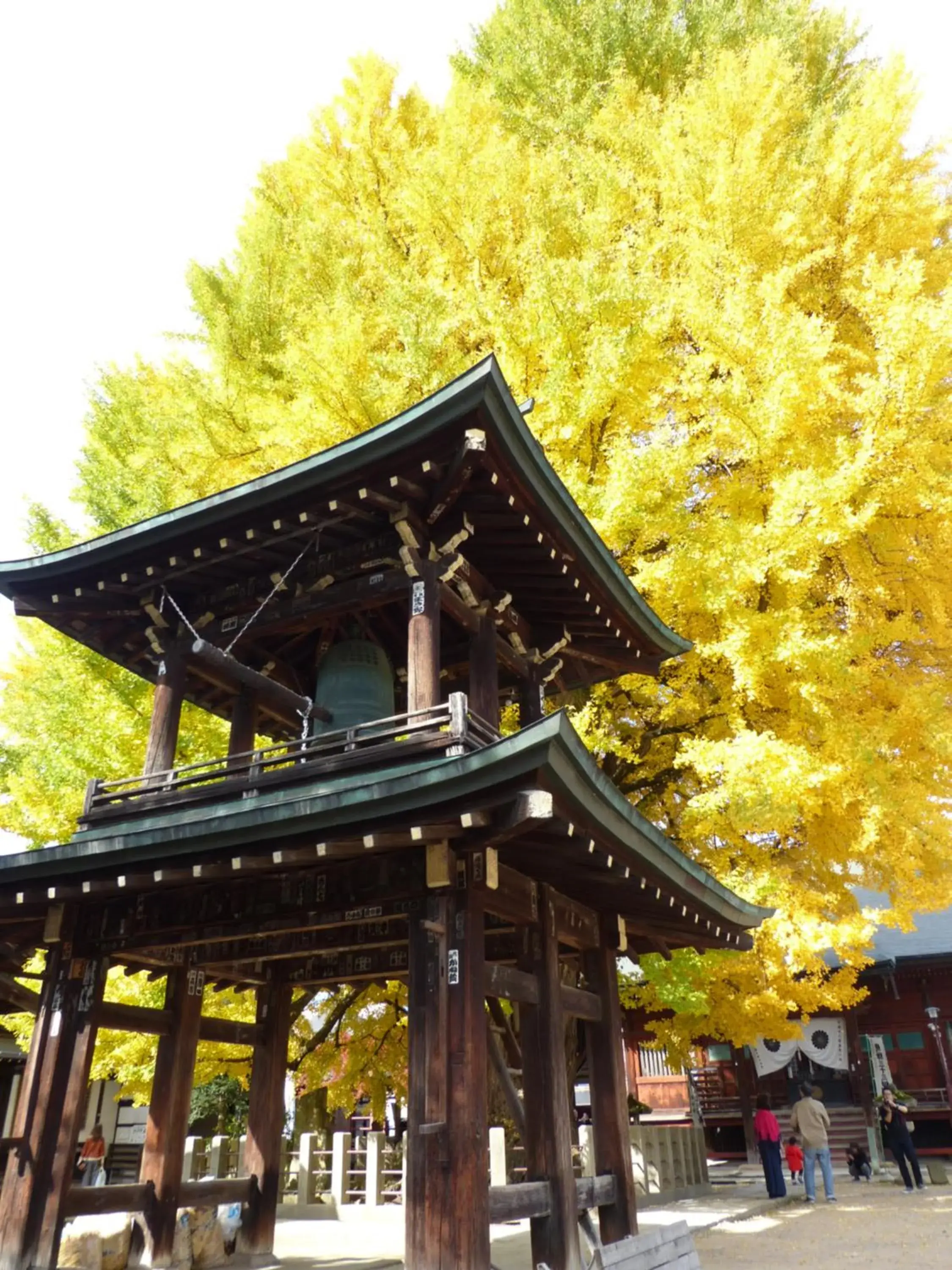 Nearby landmark in Minshuku Kuwataniya Ryokan