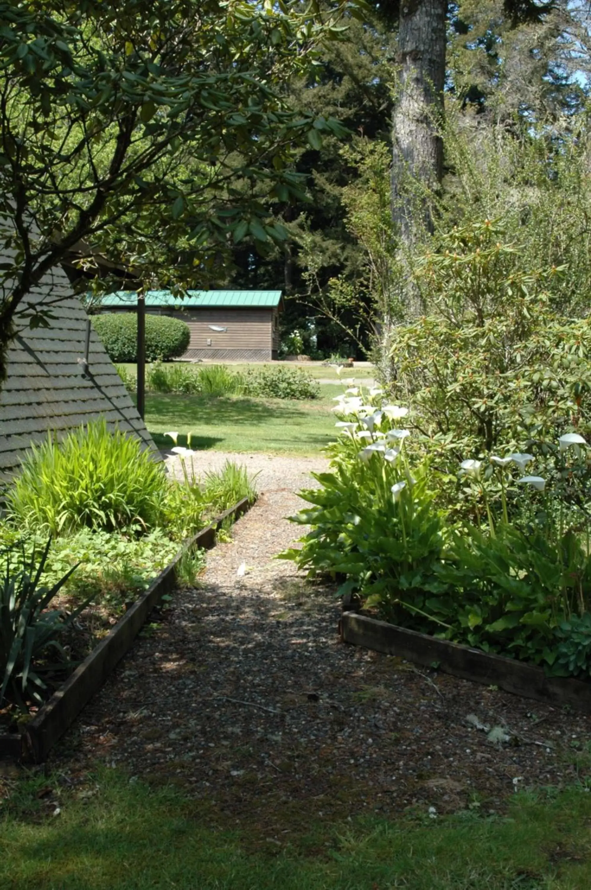 Garden in Park Motel and Cabins