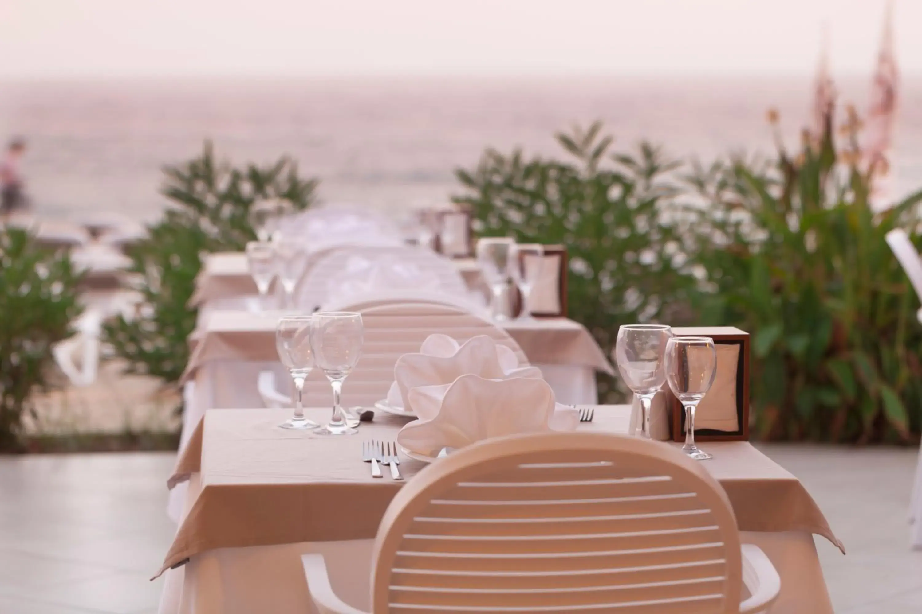 Restaurant/places to eat in Xperia Saray Beach Hotel Restaurant/places to eat in Xperia Saray Beach Hotel