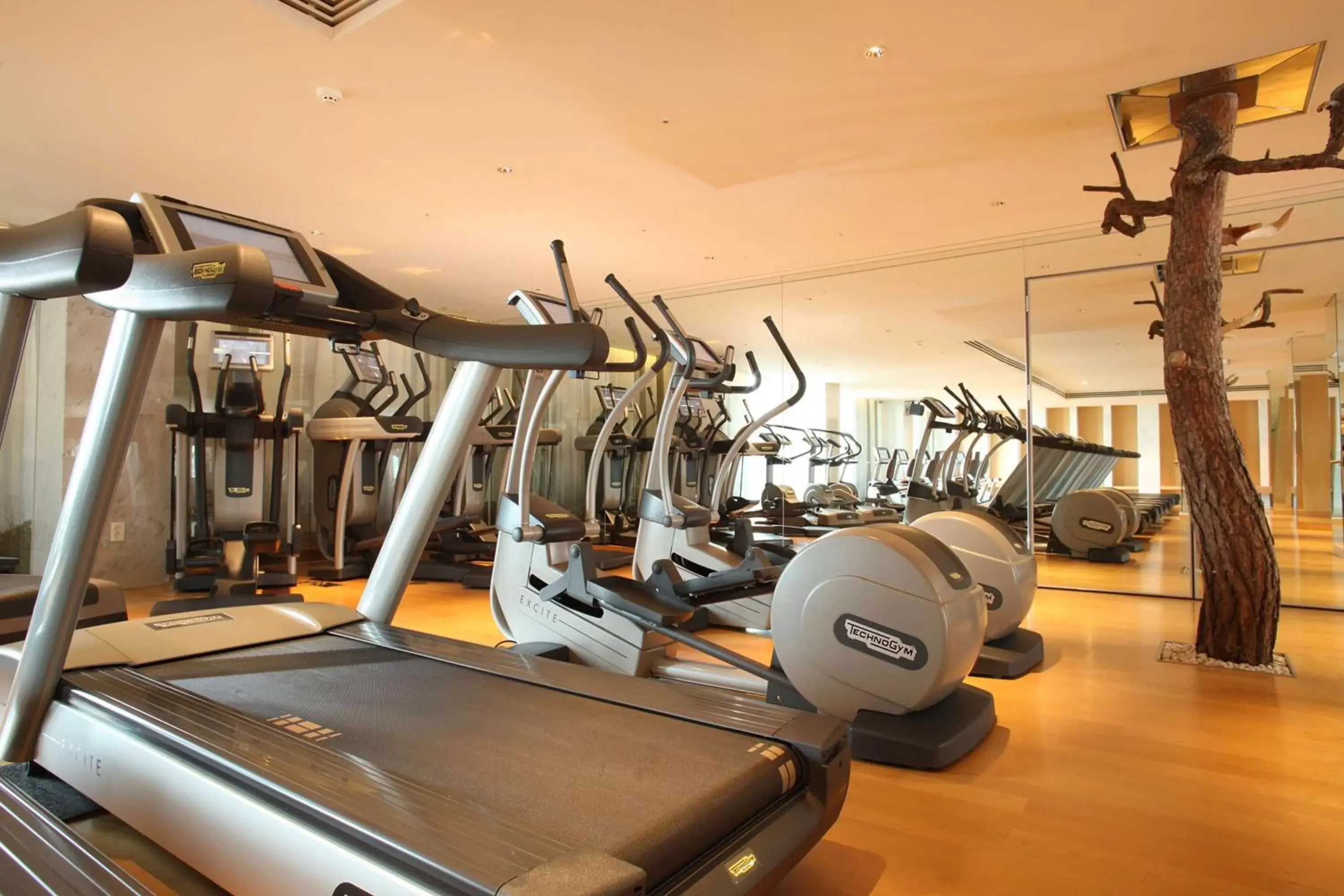 Spa and wellness centre/facilities, Fitness Center/Facilities in Banyan Tree Club & Spa Seoul