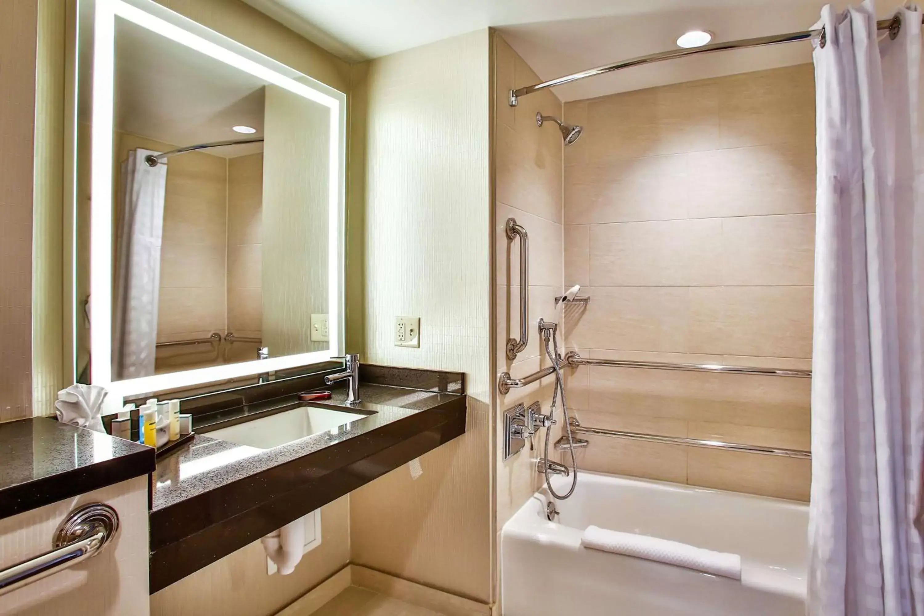 Bathroom in Embassy Suites by Hilton Chicago Downtown Magnificent Mile