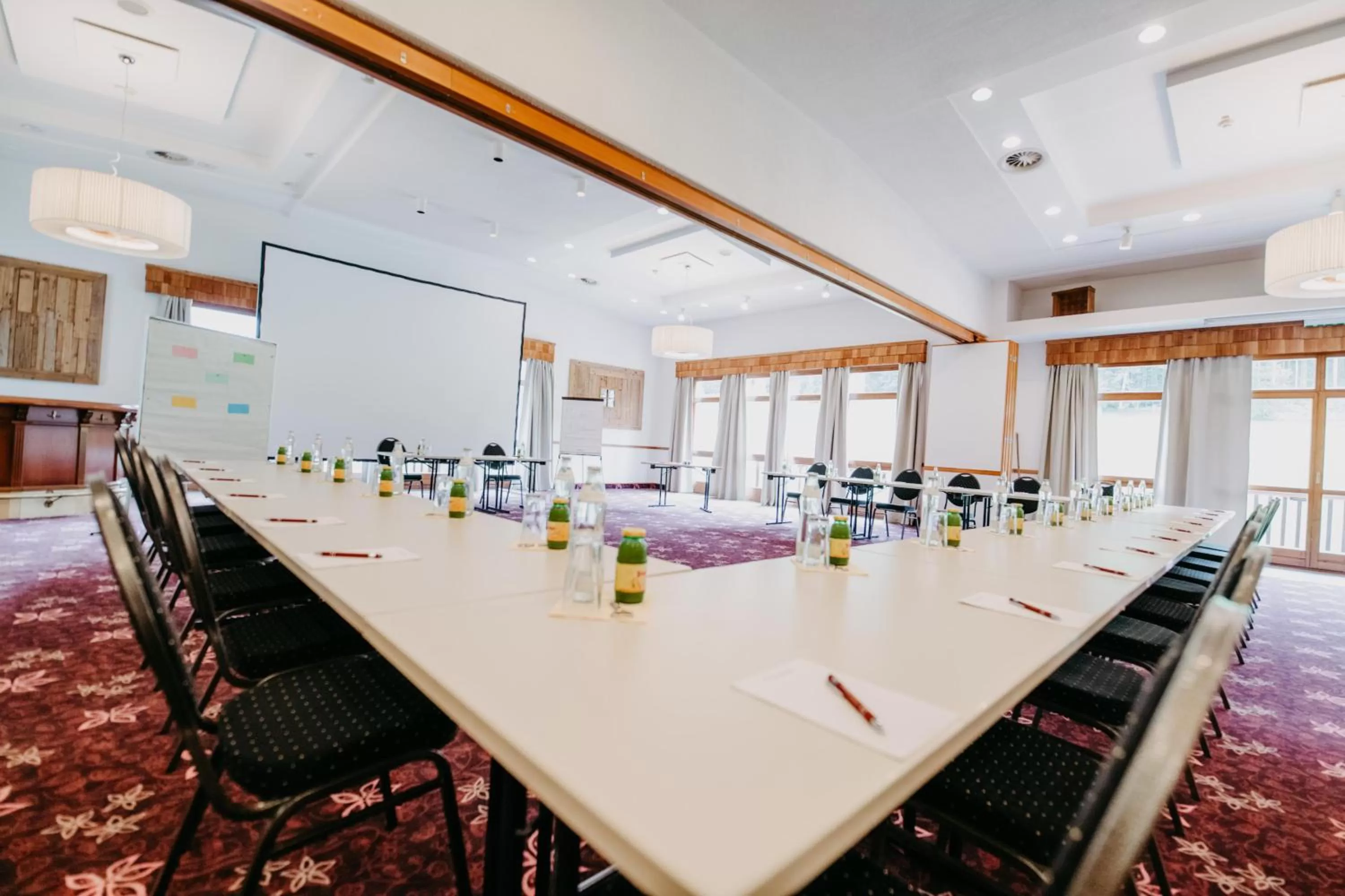 Business facilities in Vitalhotel Gosau