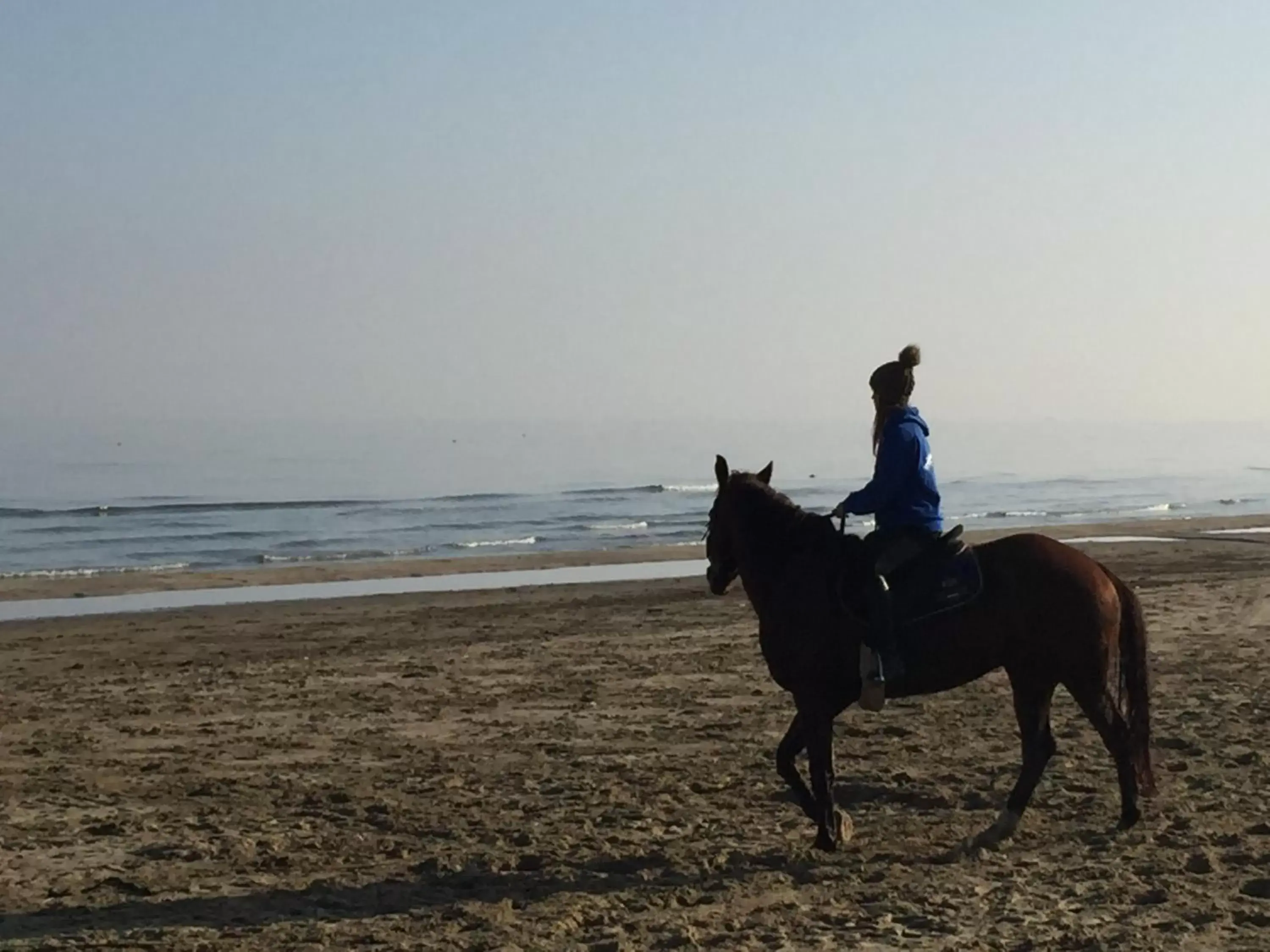 Beach, Horseback Riding in Residence La Nave