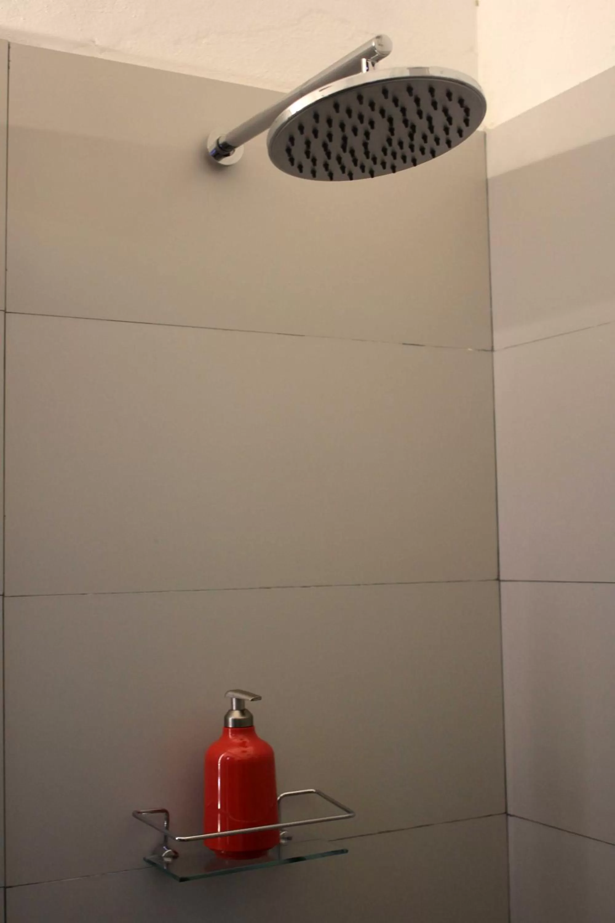 Shower, Kitchen/Kitchenette in Santoral Restaurante y Posada Pet Friendly