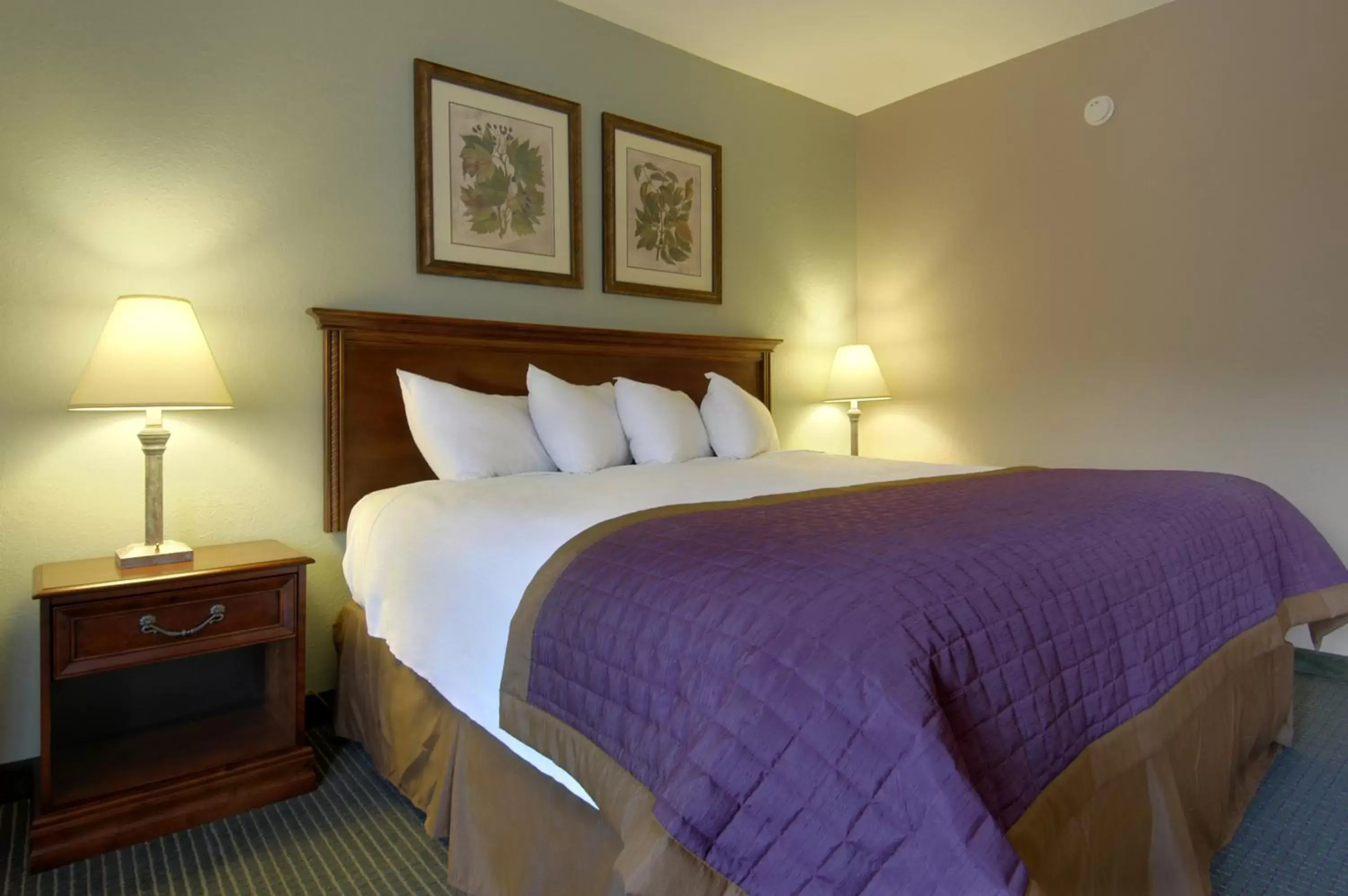 Photo of the whole room, Bed in Bay Mountain Inn Cherokee Smoky Mountains