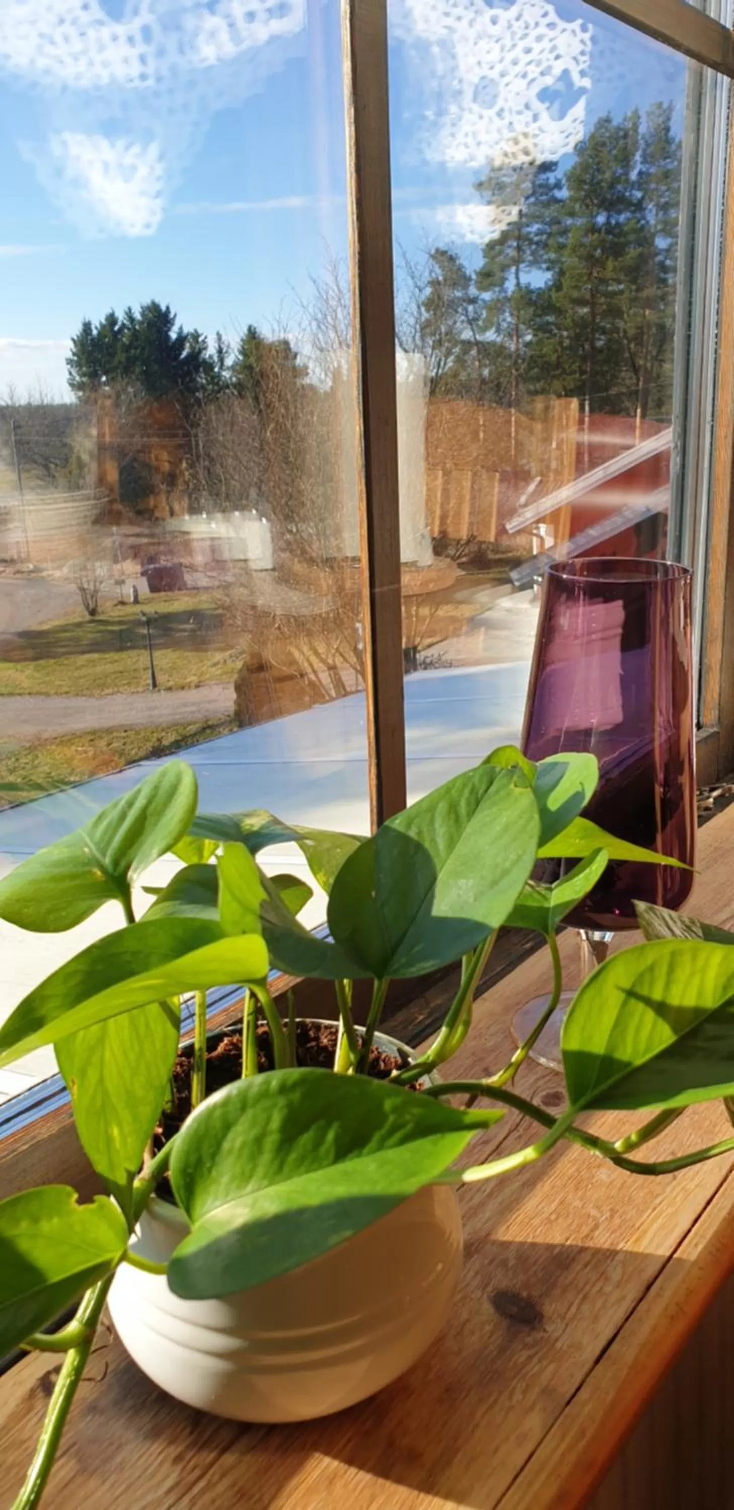 View (from property/room) in Woodstock B & B Studios