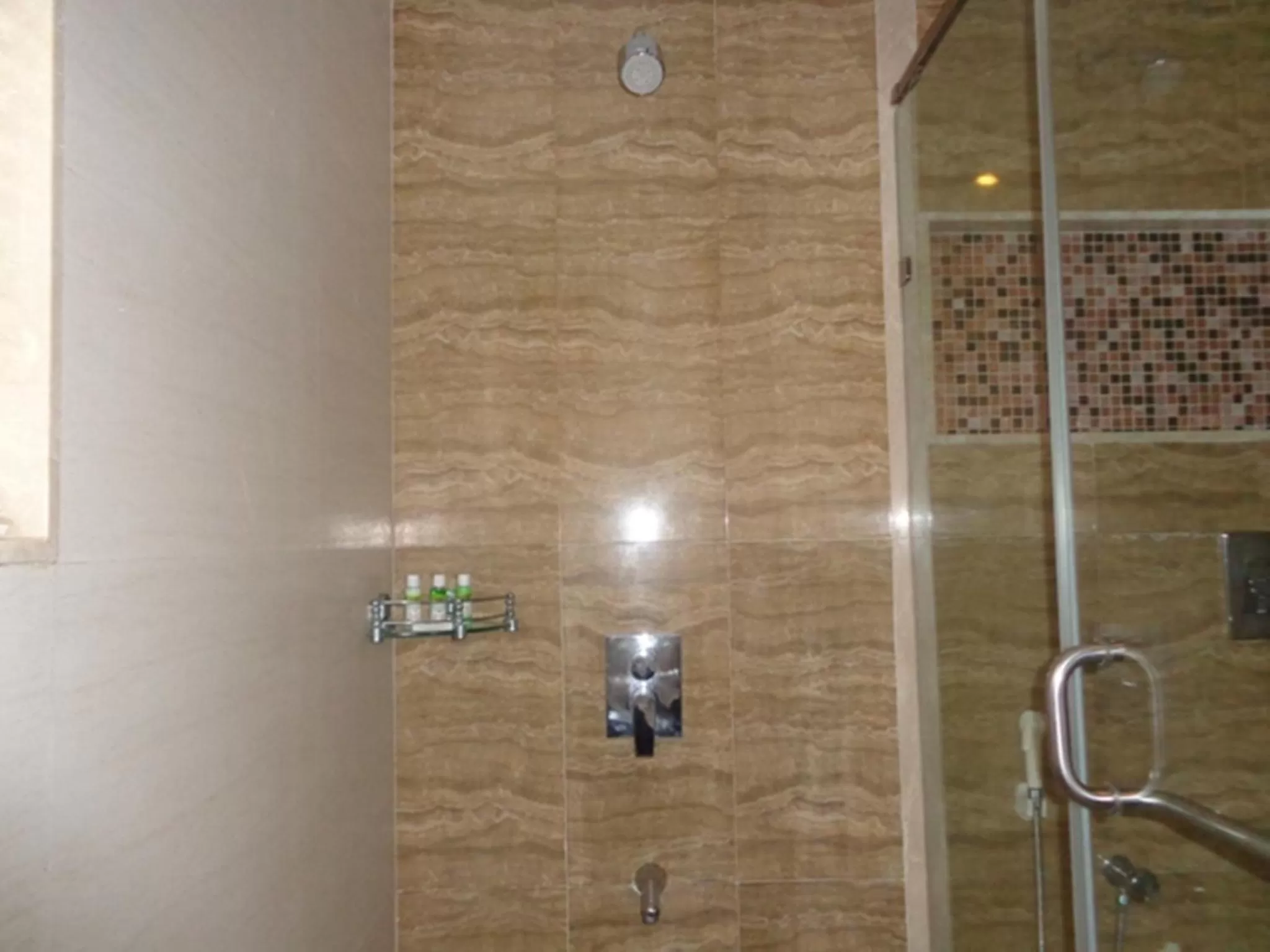Shower in Ramada Ahmedabad