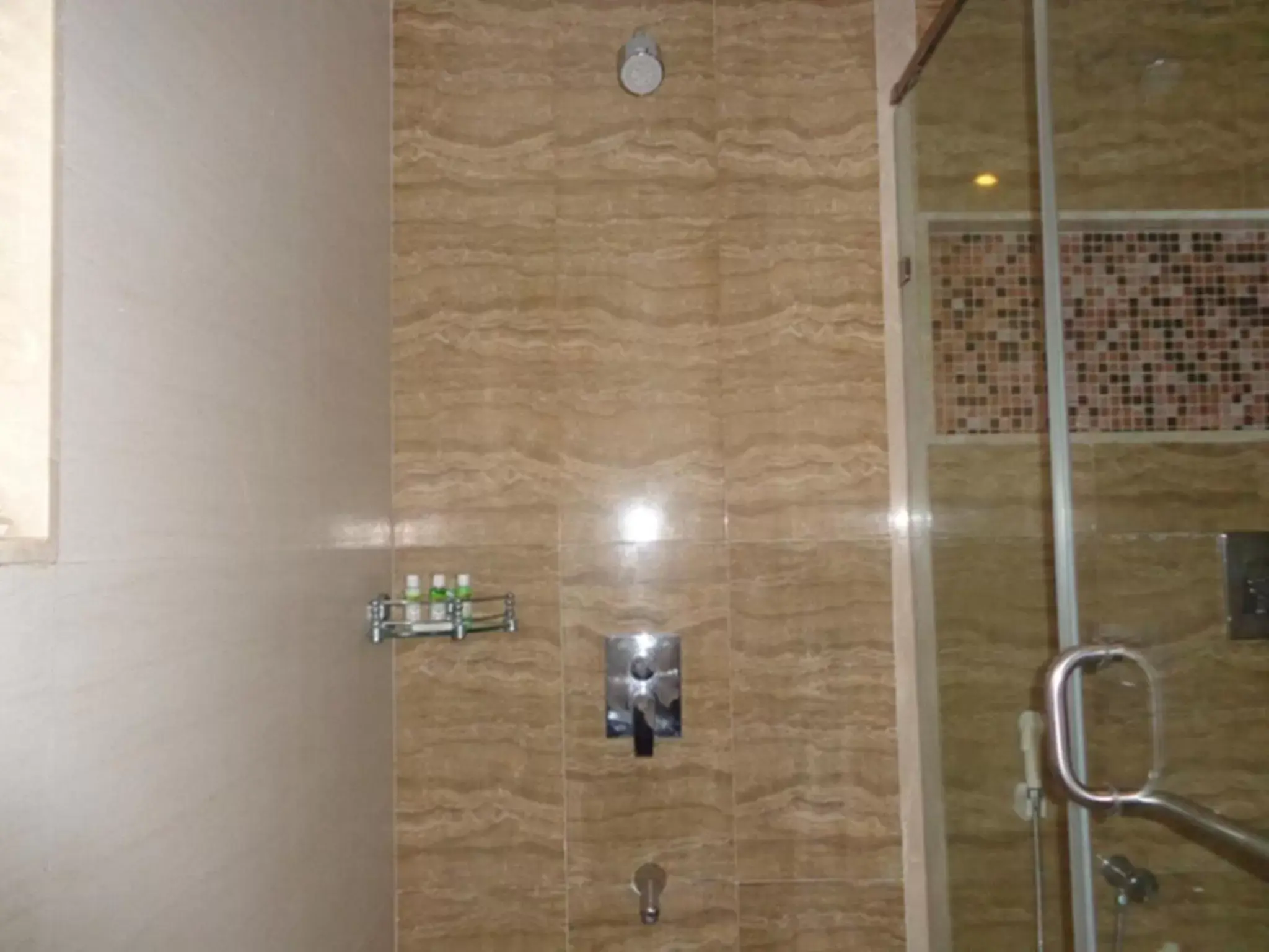 Shower, Bathroom in Ramada Ahmedabad