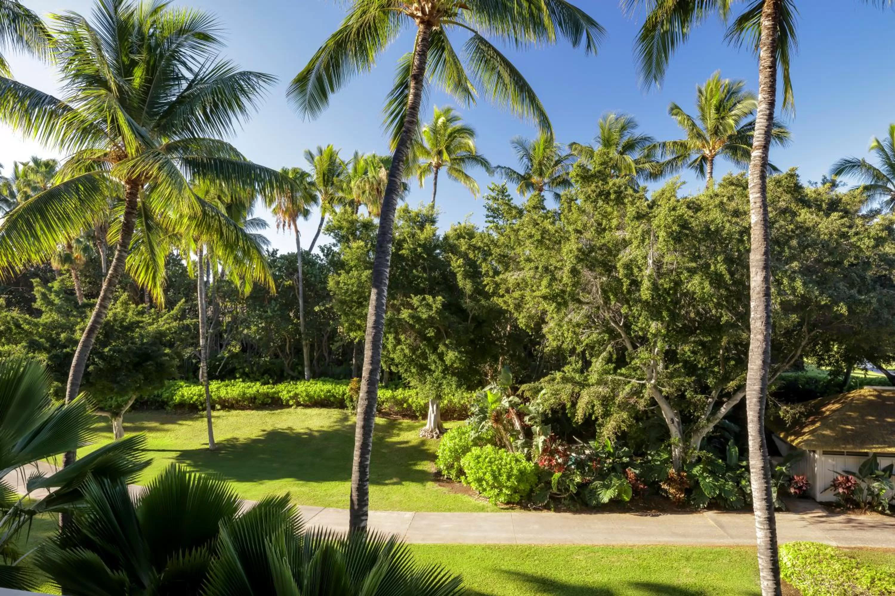 Garden view in Fairmont Orchid