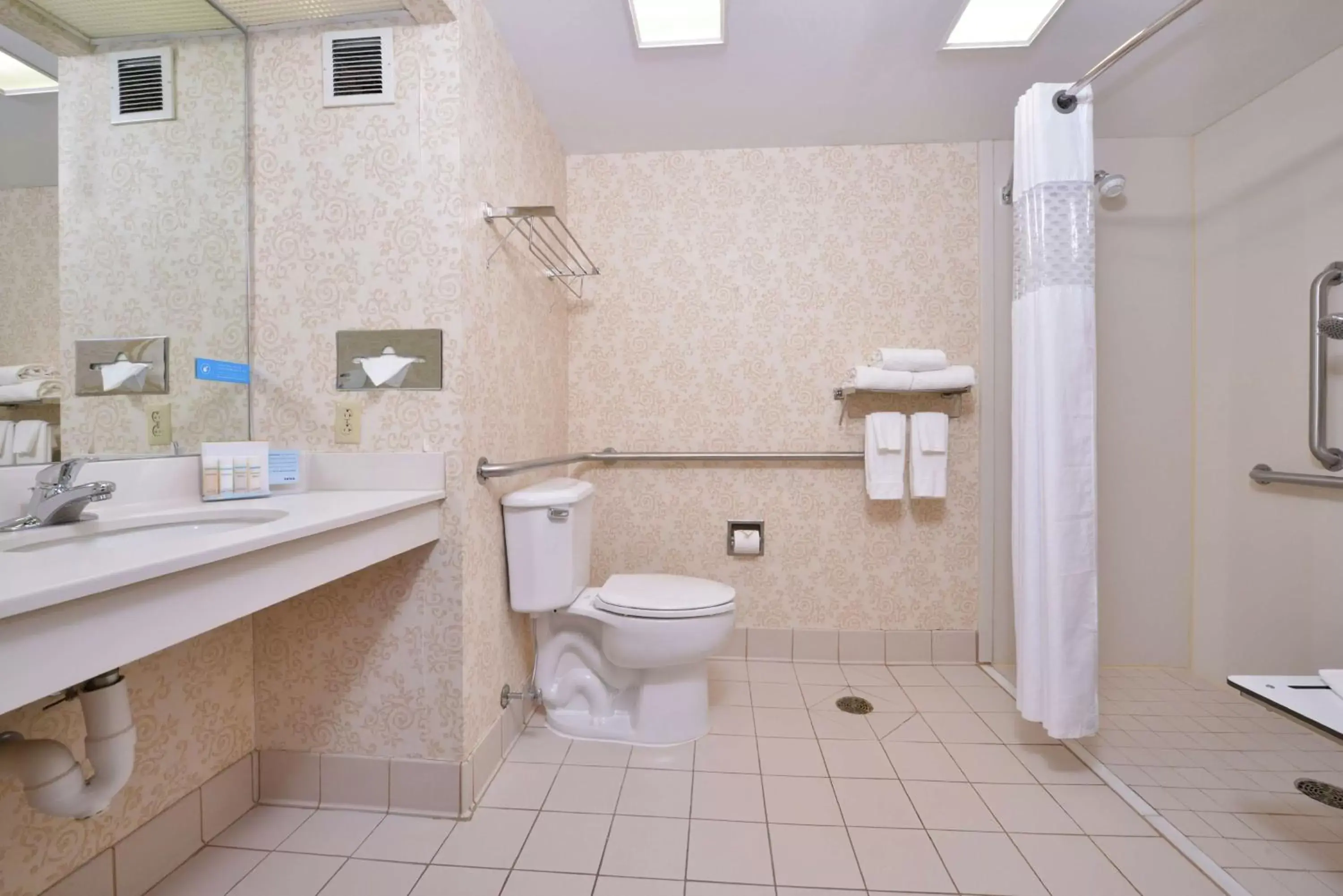 Bathroom in Hampton Inn Waynesboro/Stuarts Draft