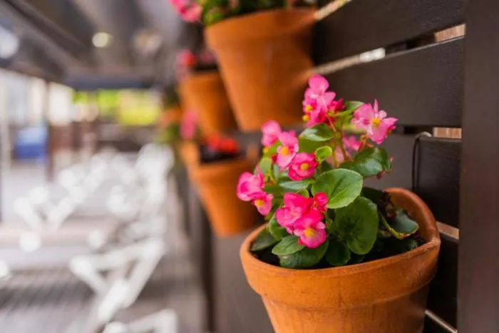 Balcony/Terrace in Magnolia Hotel - Adults Only