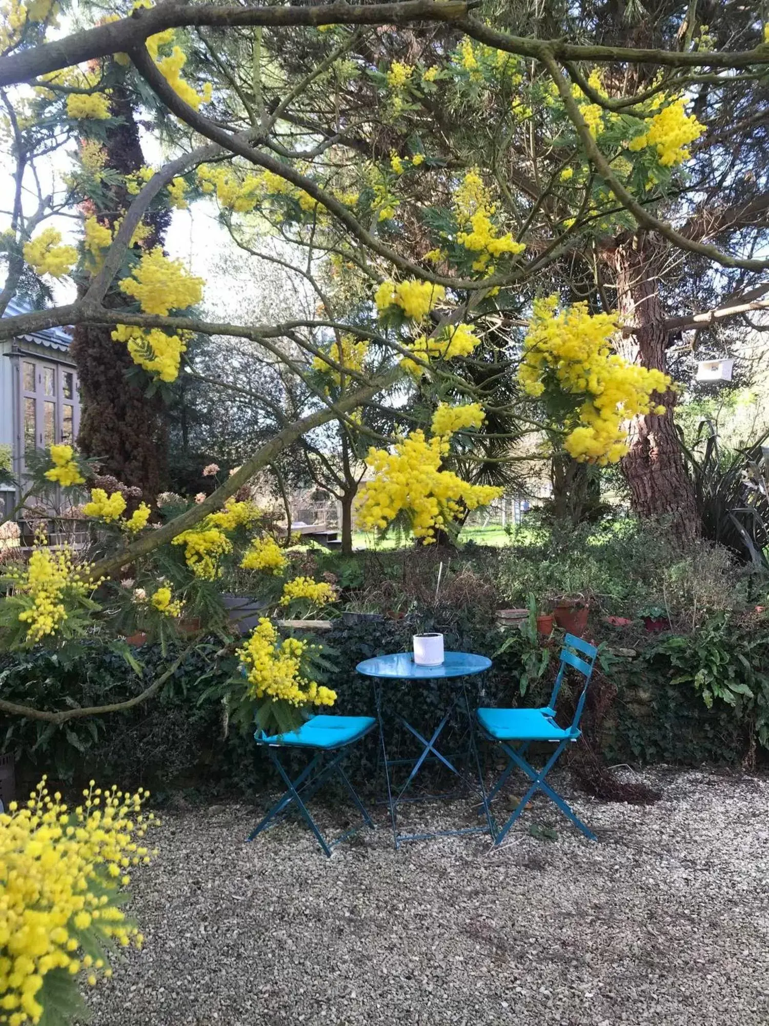 Garden in Le mas Normand