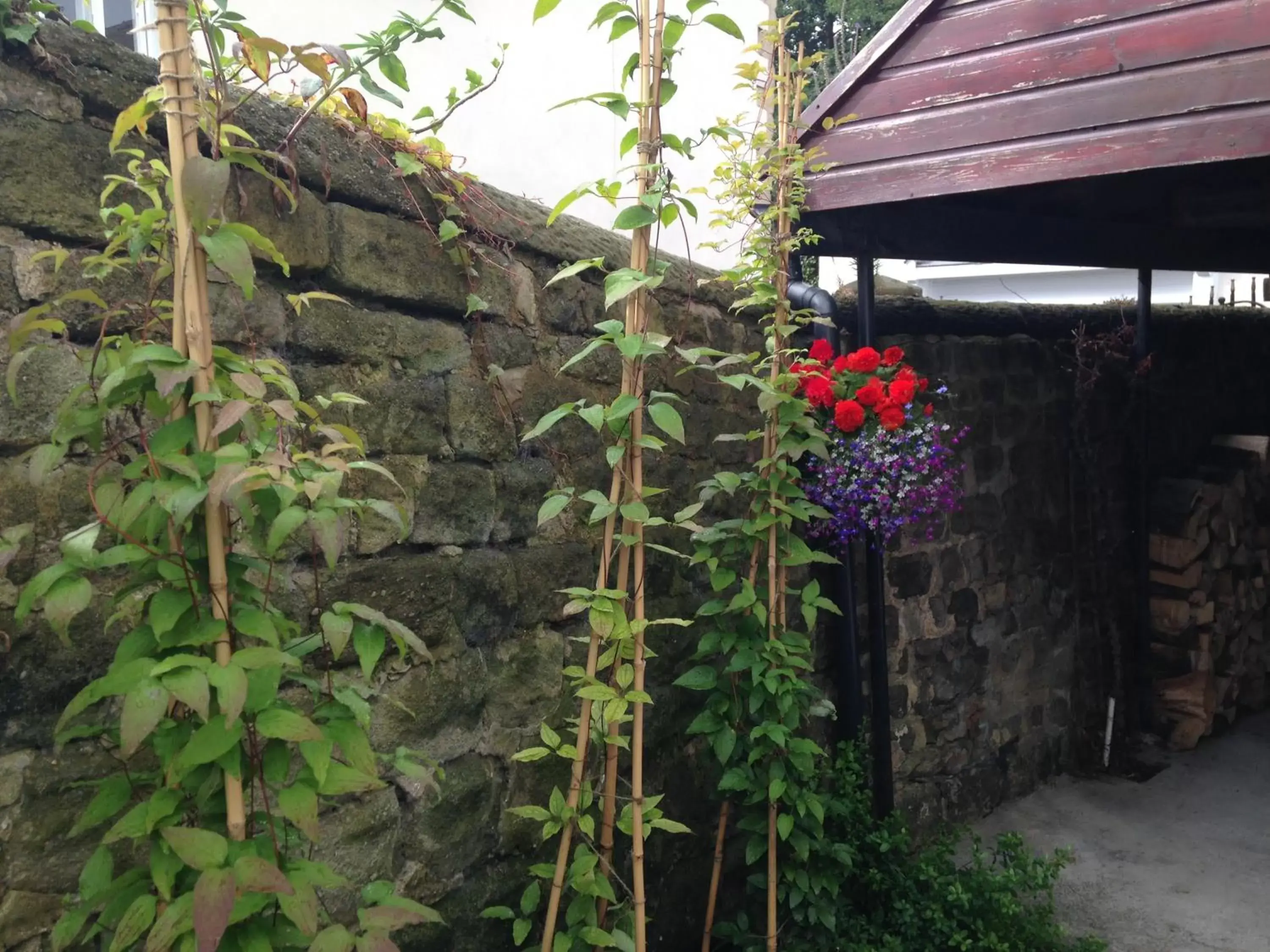 Garden in Kirkgate House