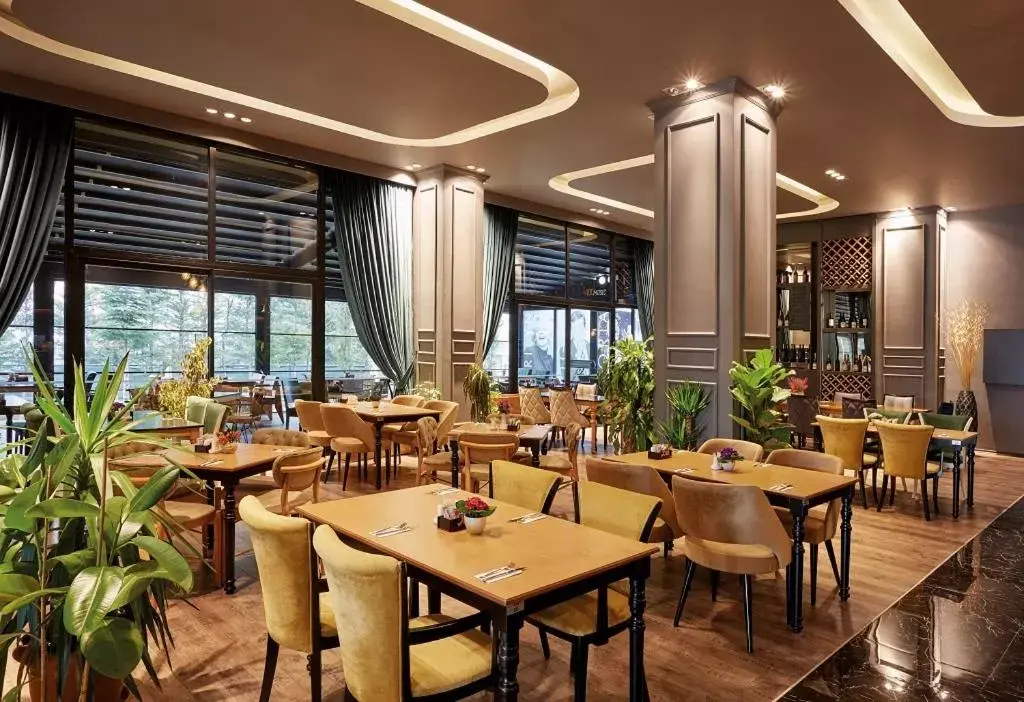 Restaurant/Places to Eat in Anemon Konya