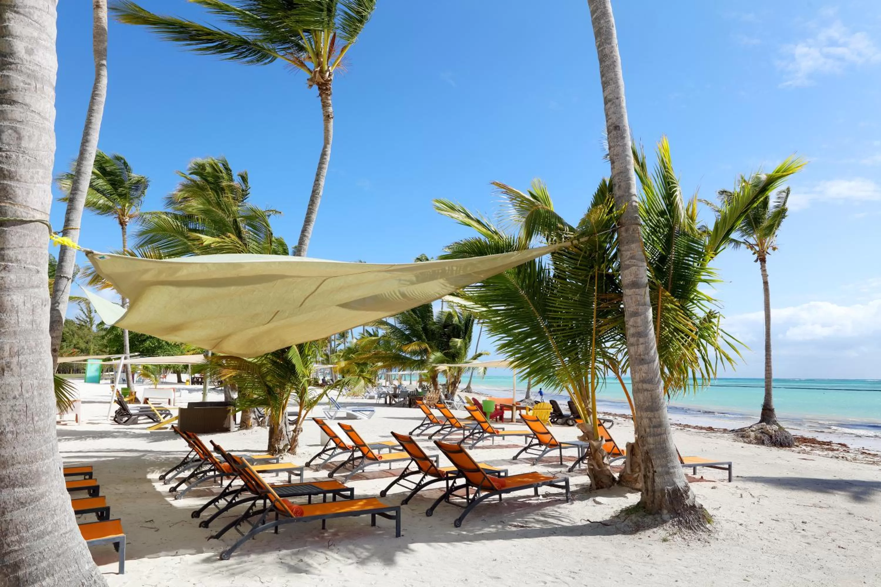 Beach in TRS Cap Cana Waterfront & Marina Hotel - Adults Only - All Inclusive