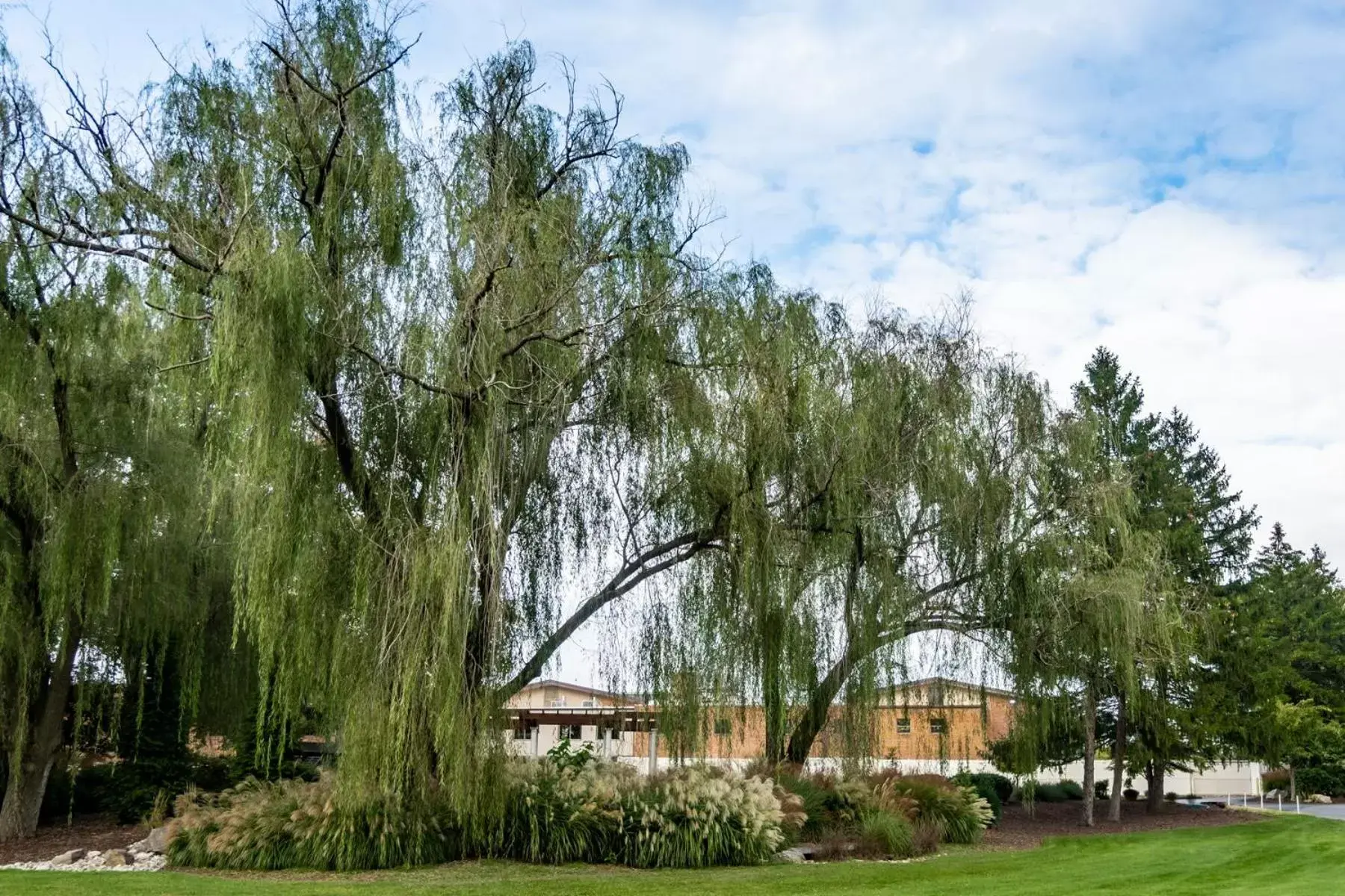 Natural landscape in Turf Valley Resort