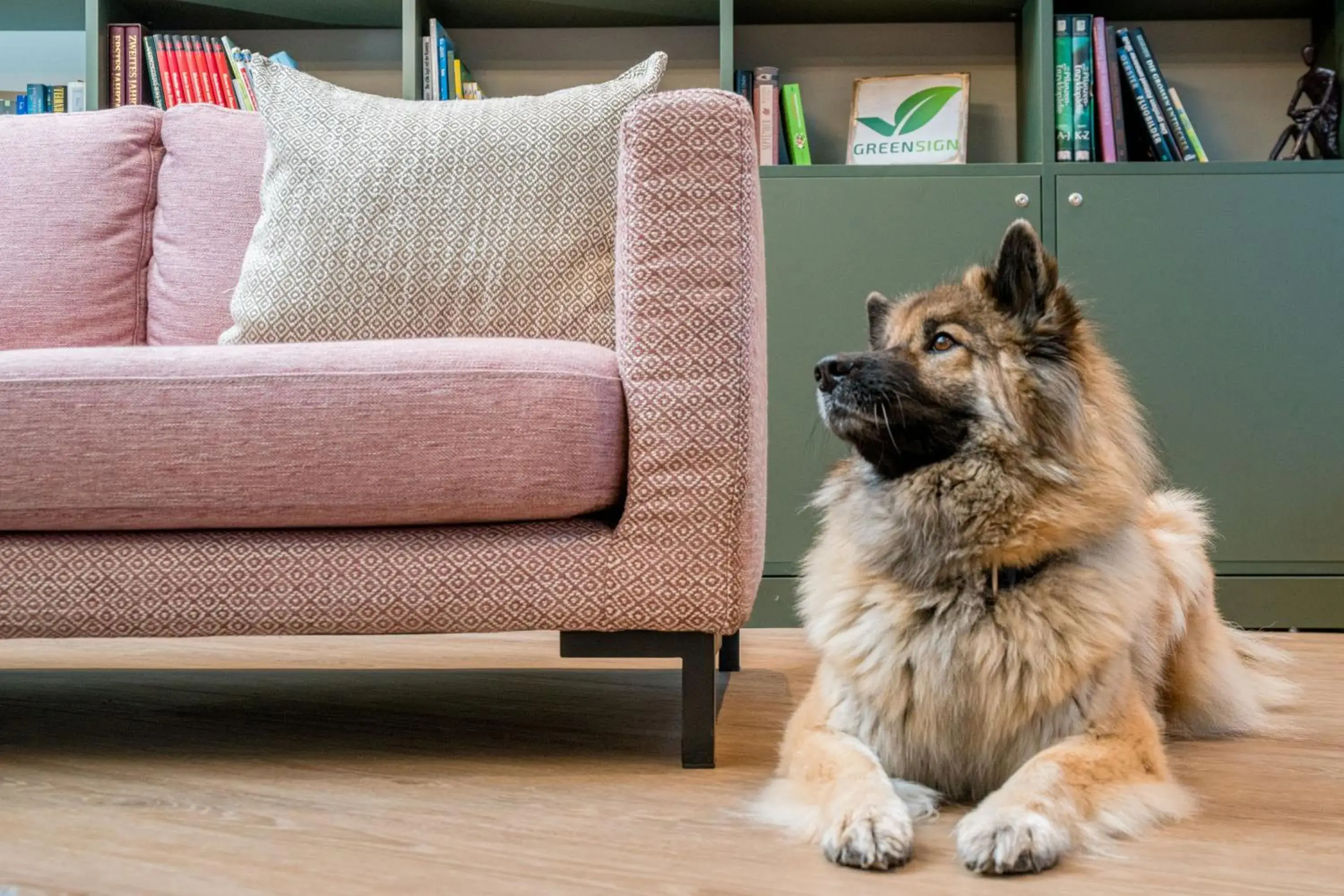 Library, Pets in City Aparthotel München - KOOS Hotel und Apartments