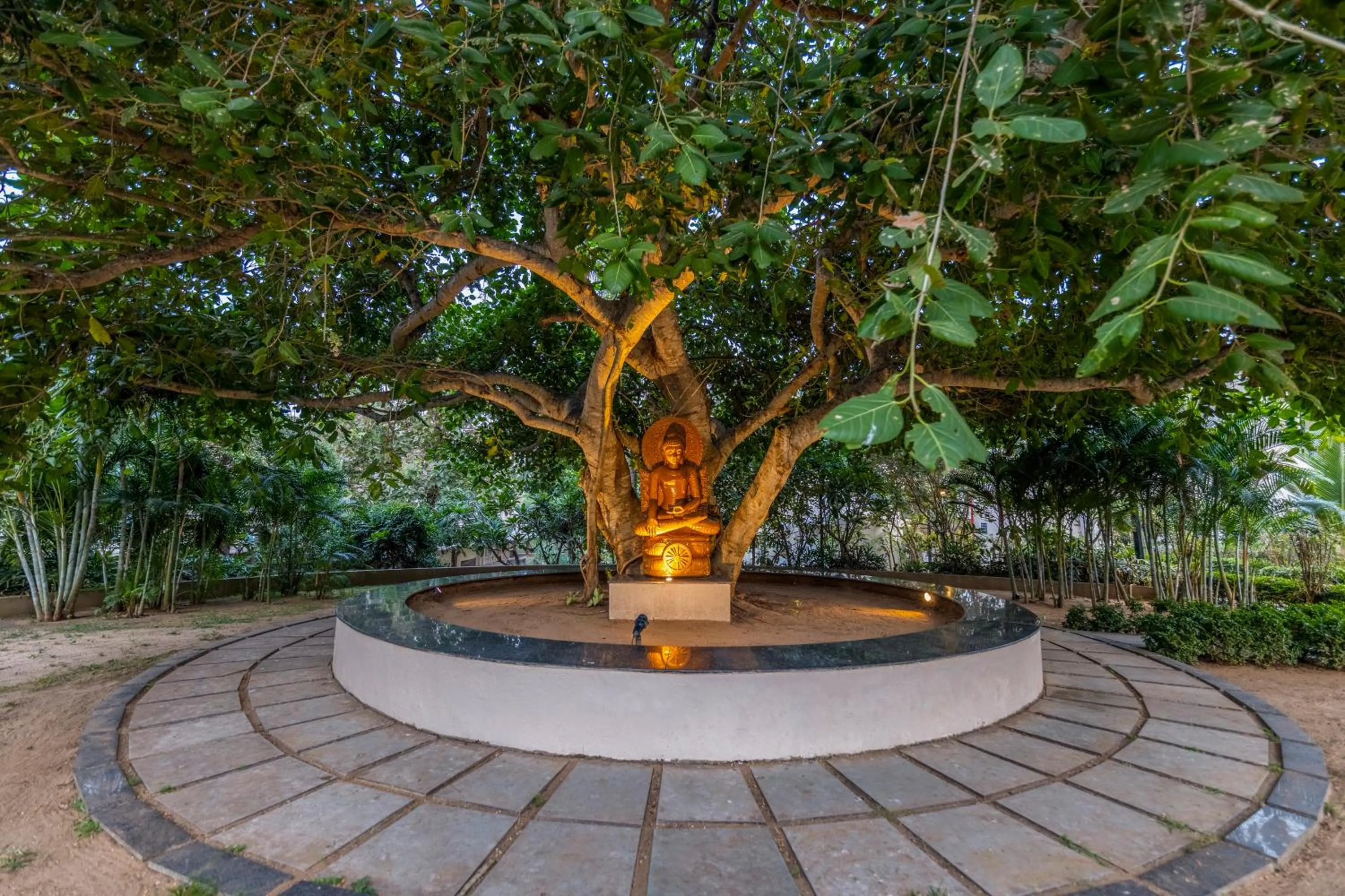 Natural landscape in Sterling Puri