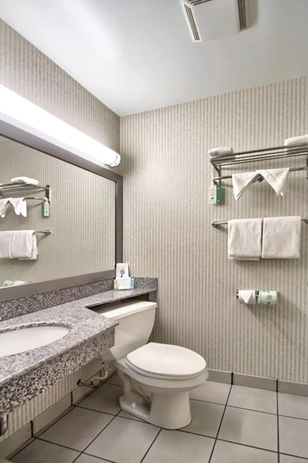 Bathroom in Quality Inn Riverview Enola-Harrisburg