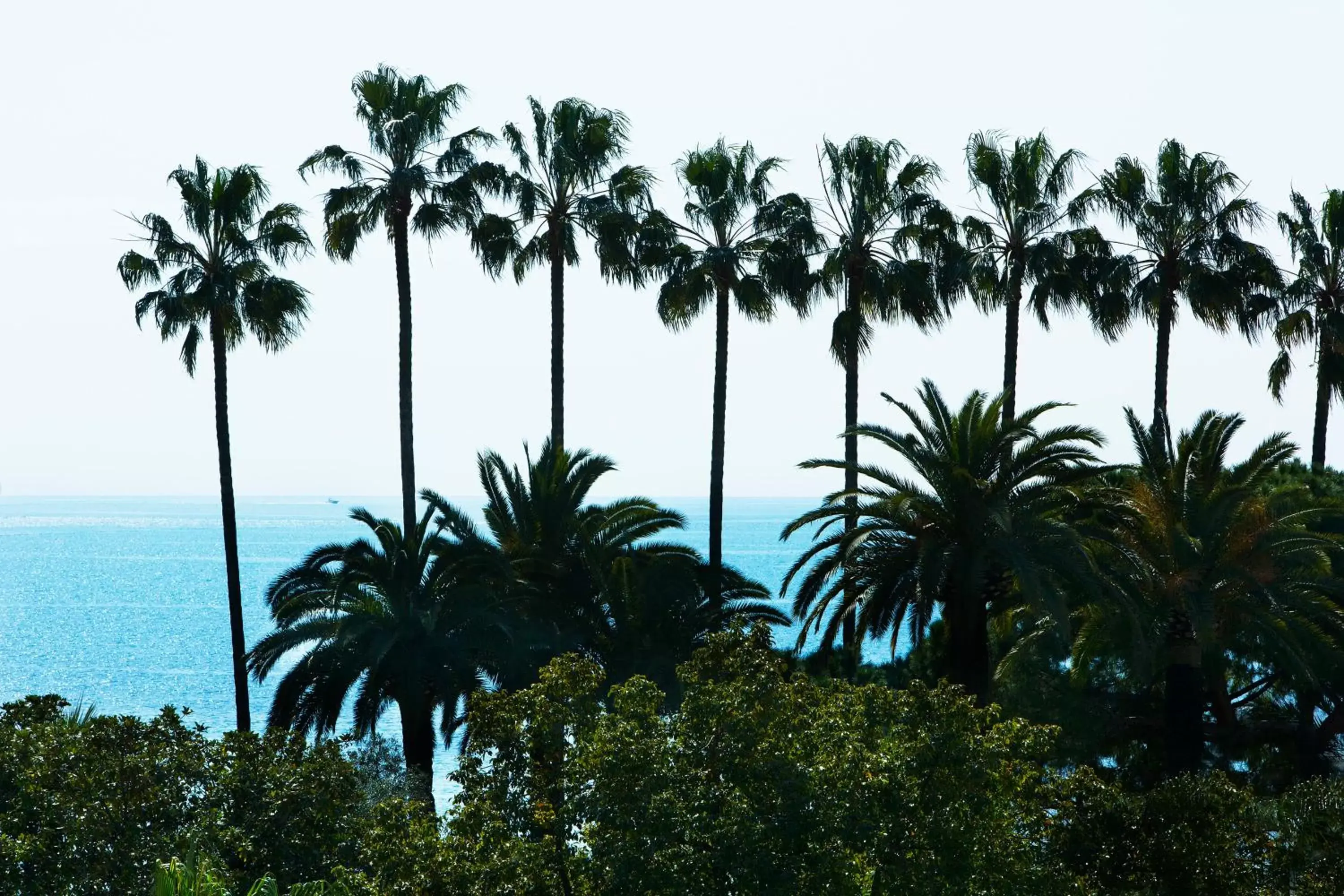 Sea view in Villa d'Estelle