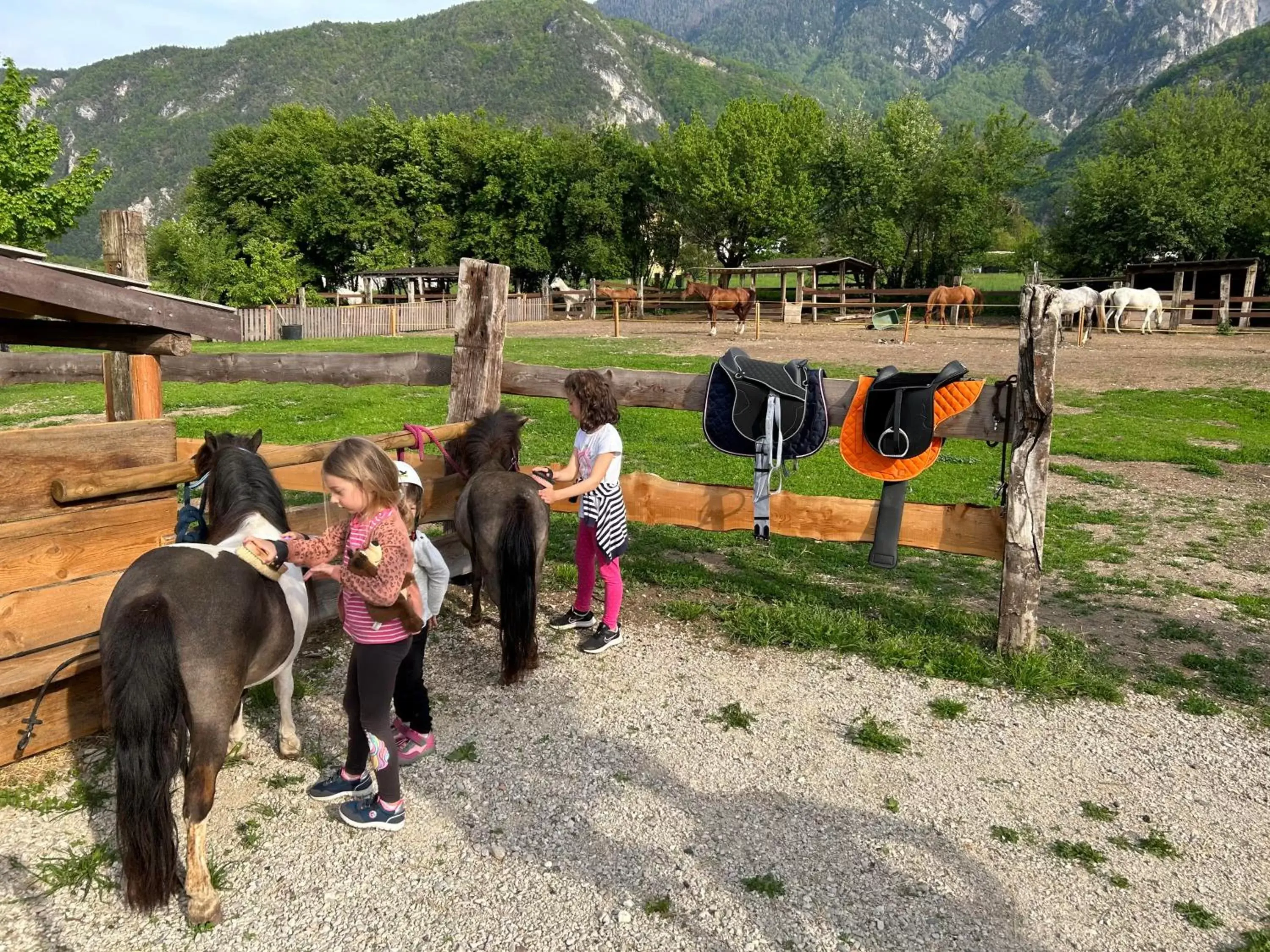 Activities in Agritur Airone Bed & Camping