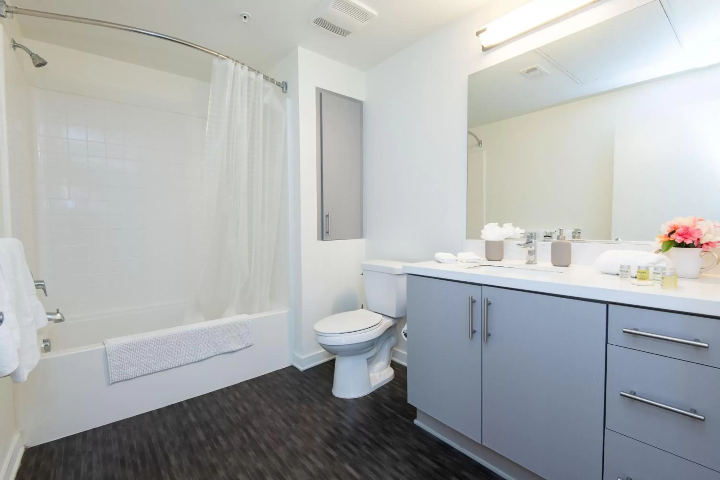 Bathroom in Modern Apartment Rentals